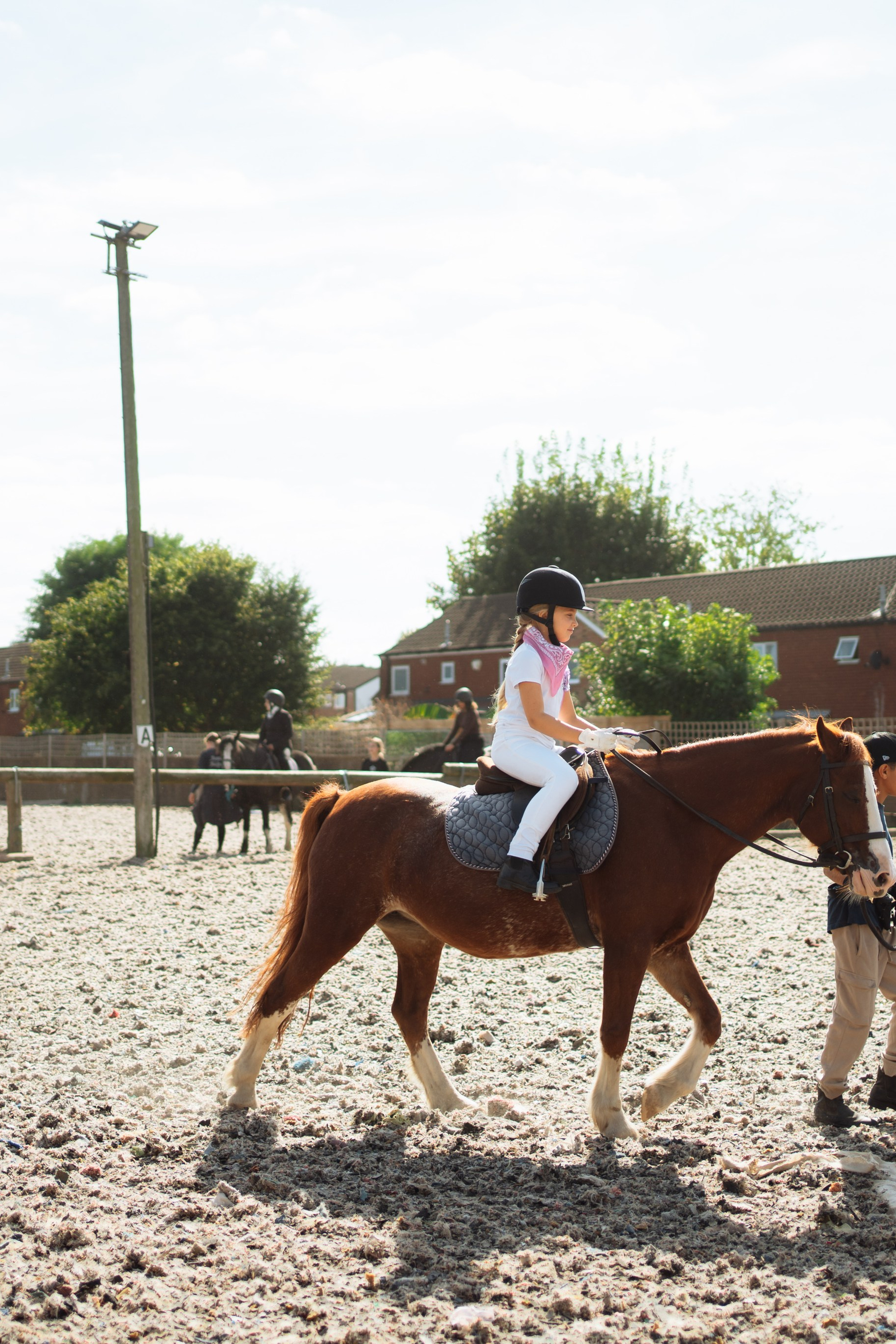 Horse party. Photographer in London Daria Agafonova