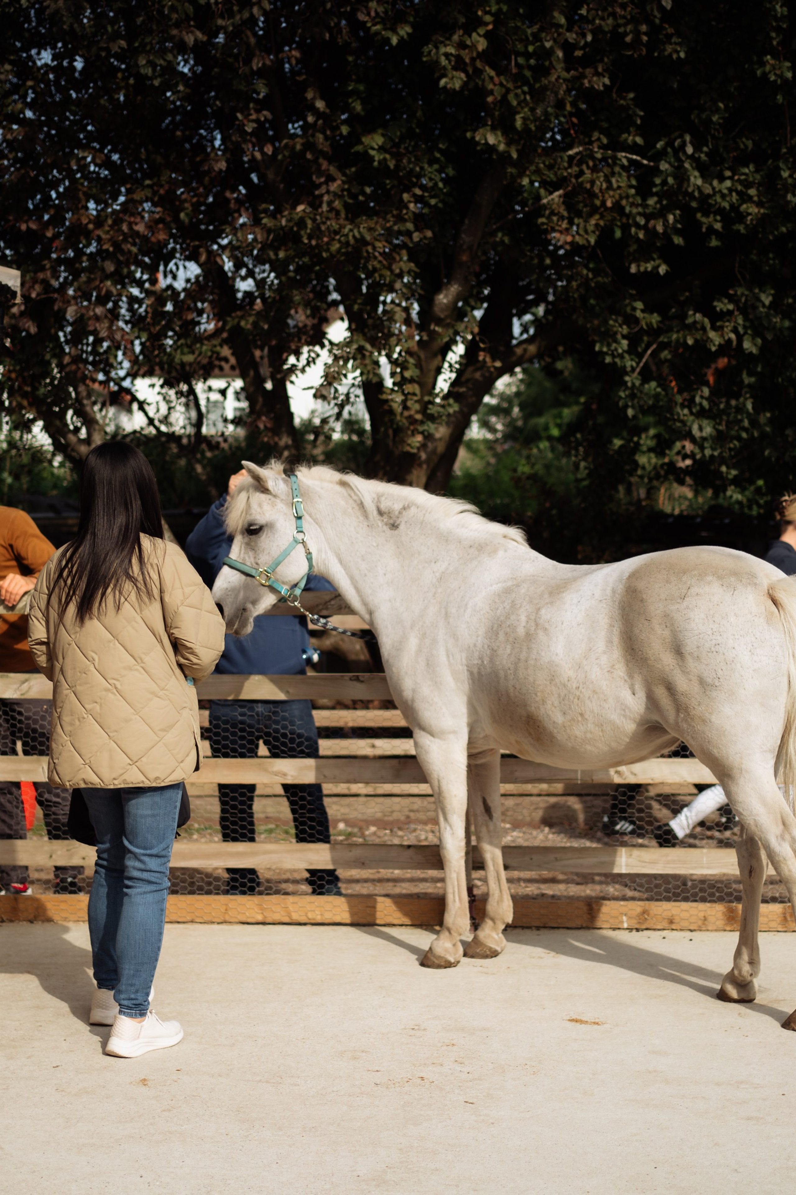Horse party. Photographer in London Daria Agafonova