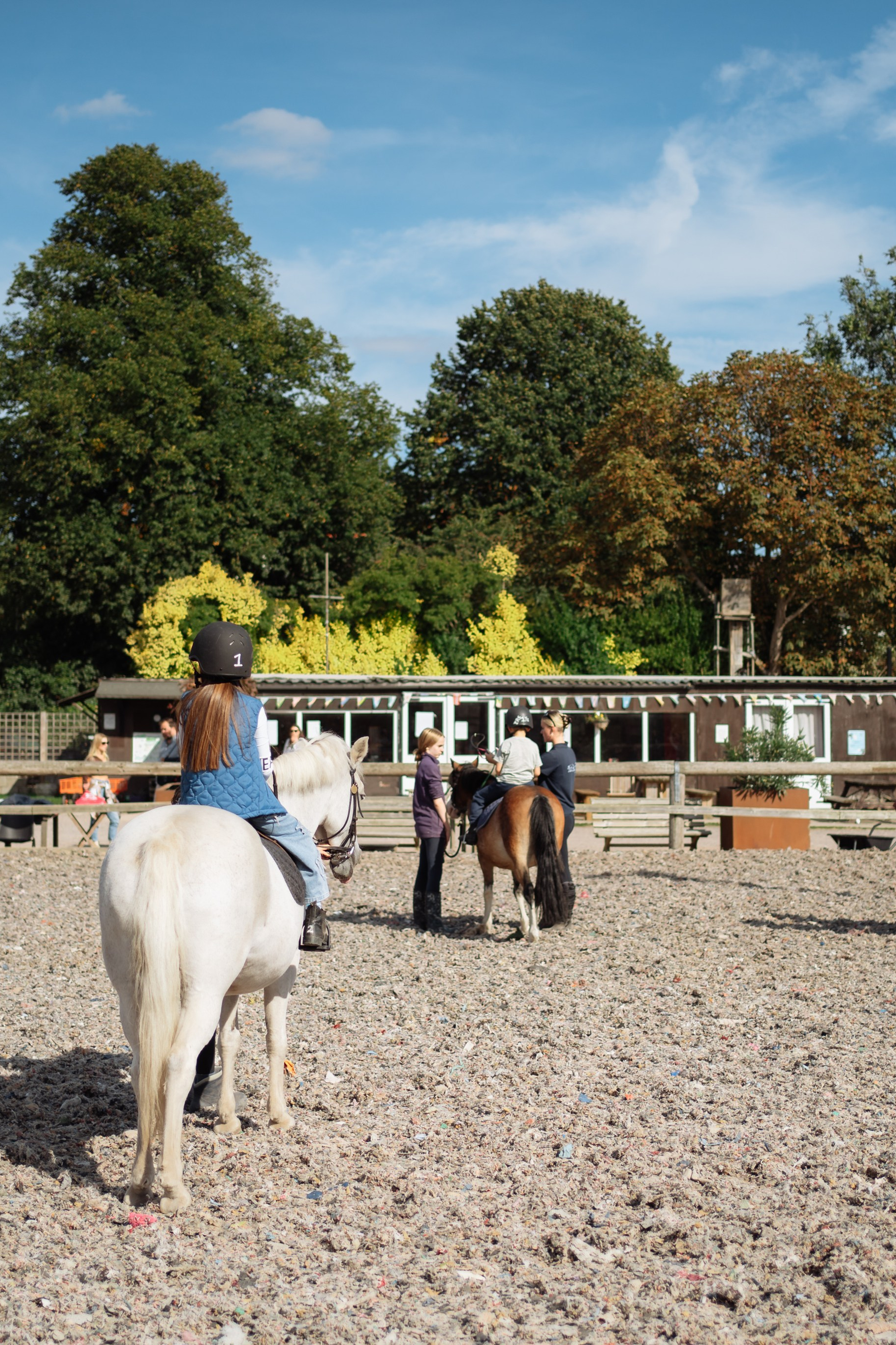 Horse party. Photographer in London Daria Agafonova