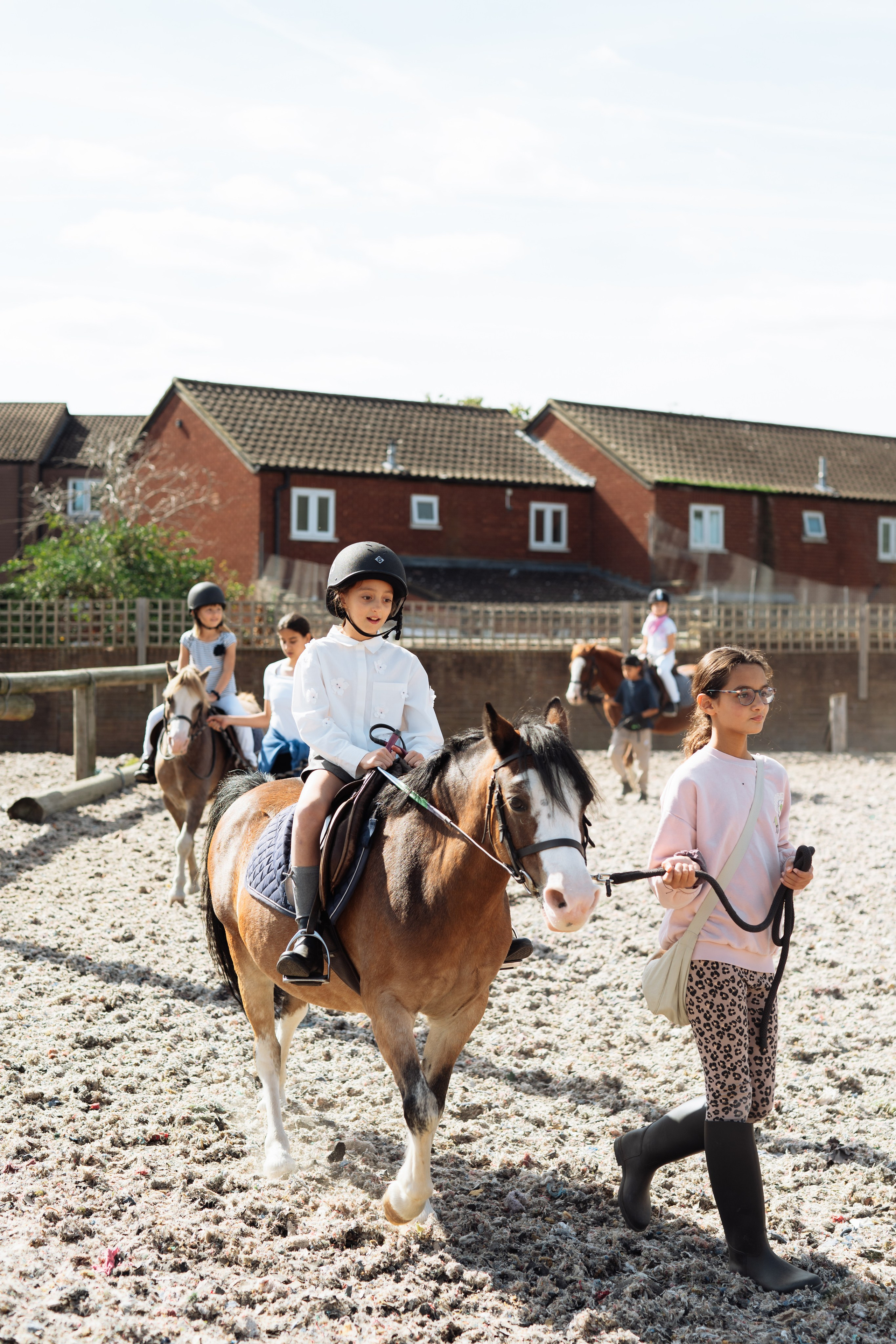 Horse party. Photographer in London Daria Agafonova