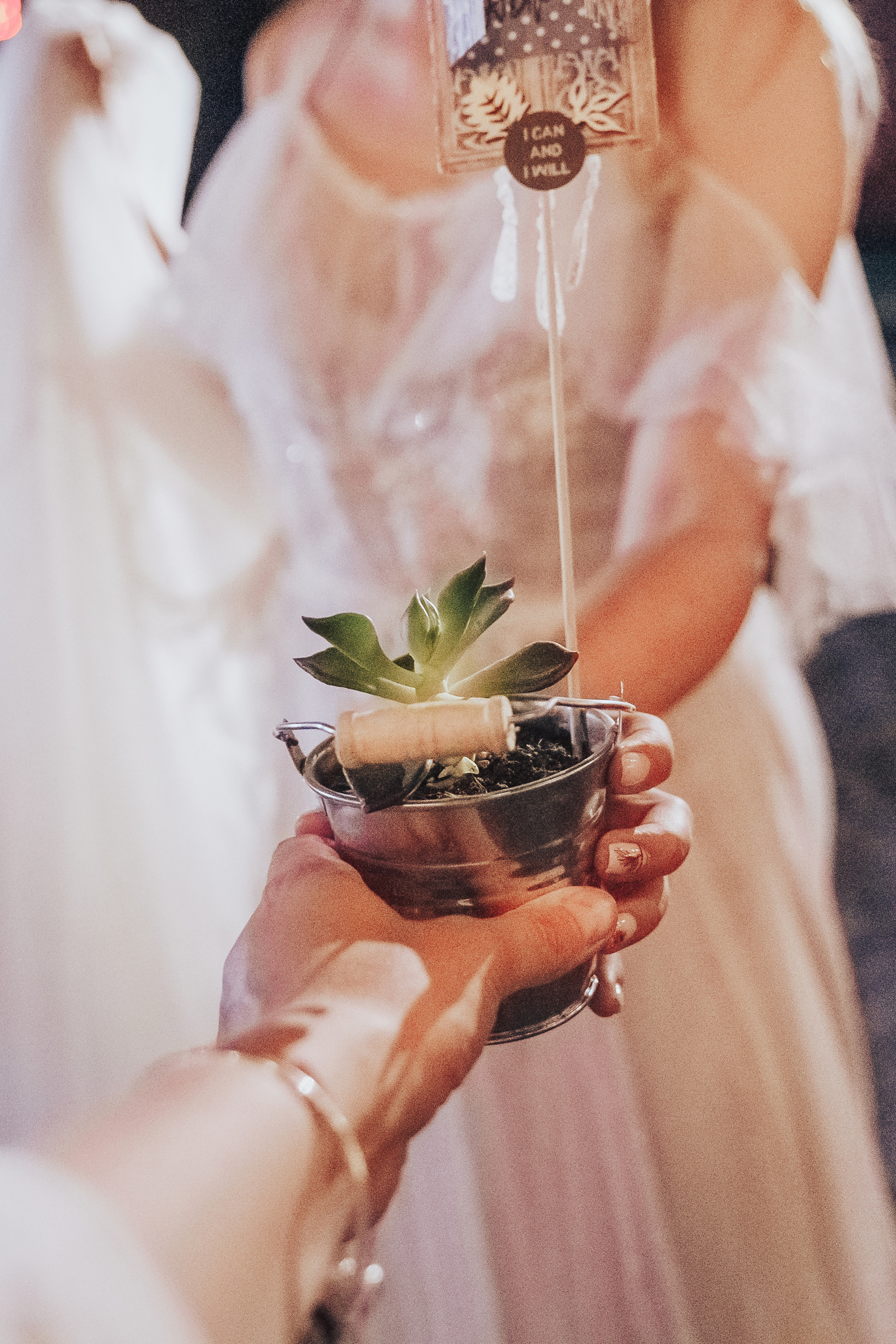 Forest wedding. Maria and Oleksandr. Photographer in London Daria Agafonova