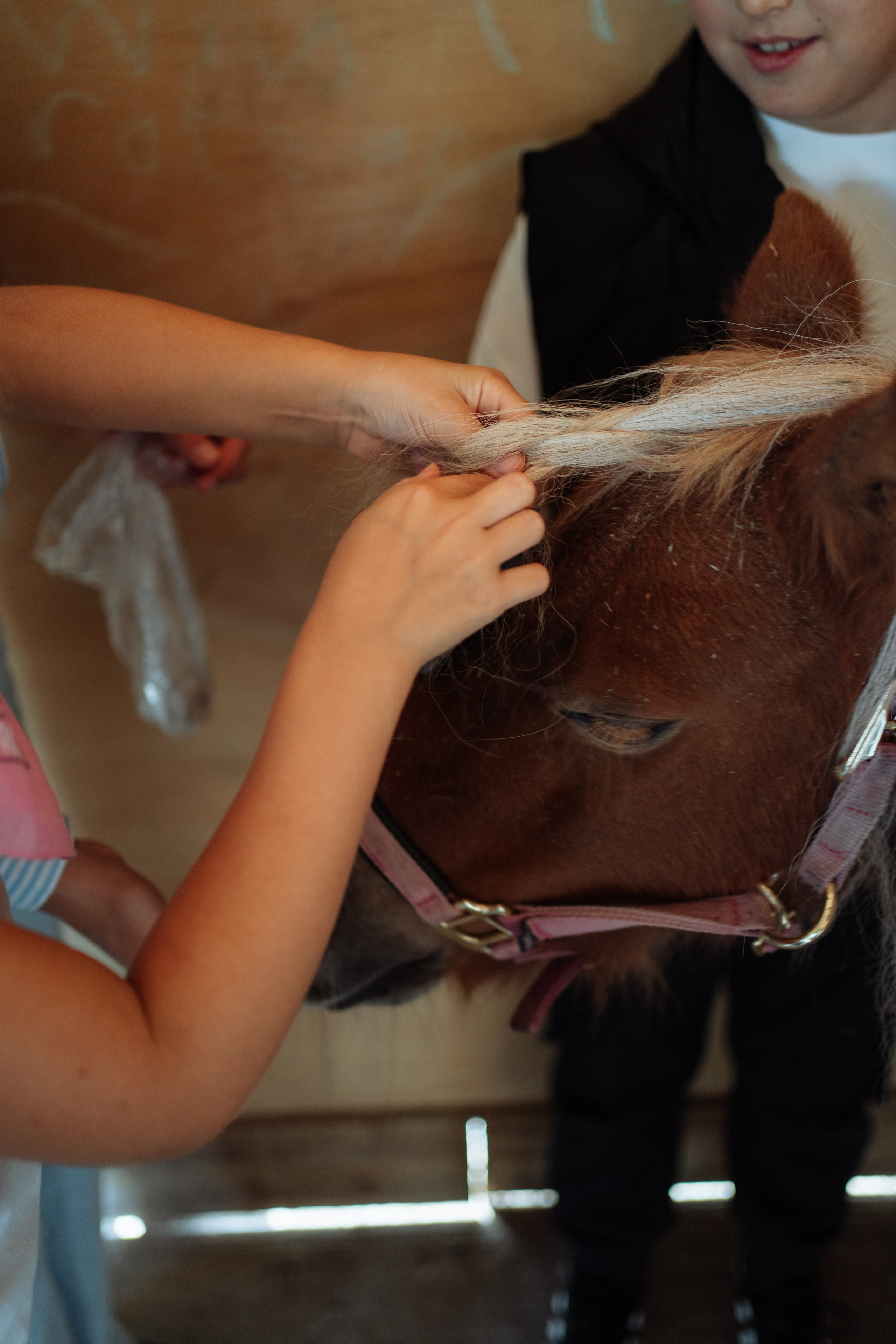 Horse party. Photographer in London Daria Agafonova