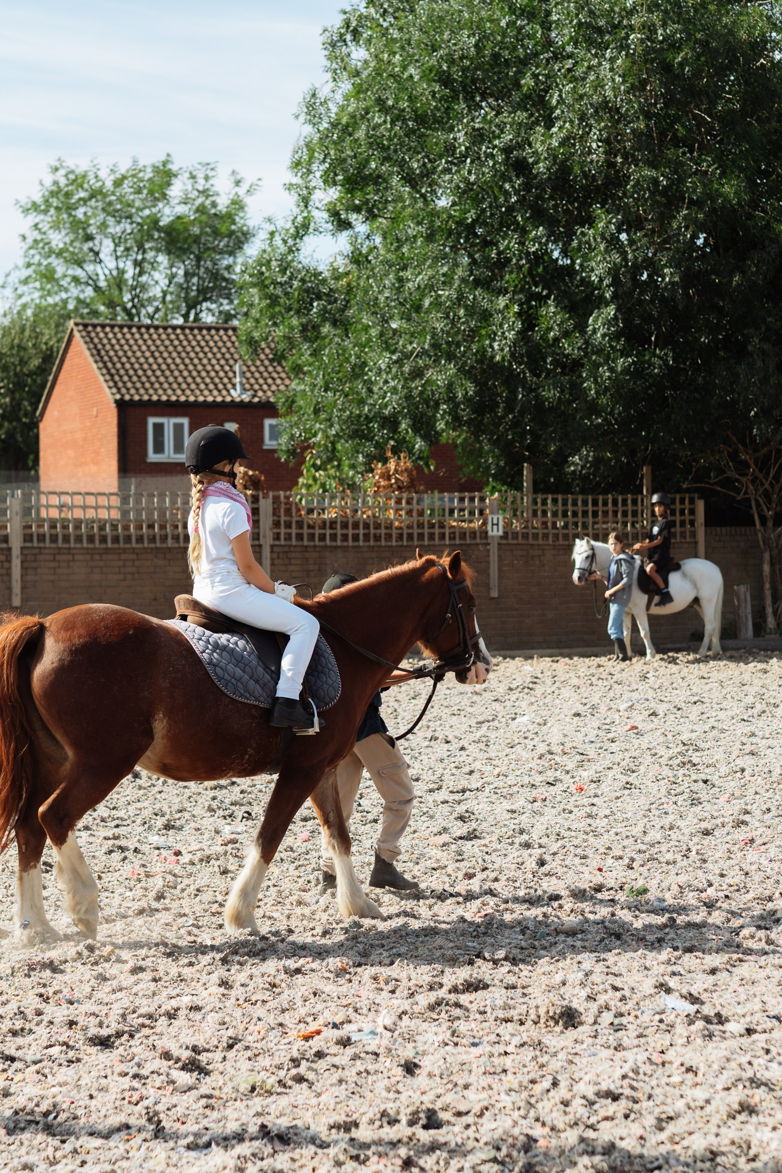 Horse party. Photographer in London Daria Agafonova