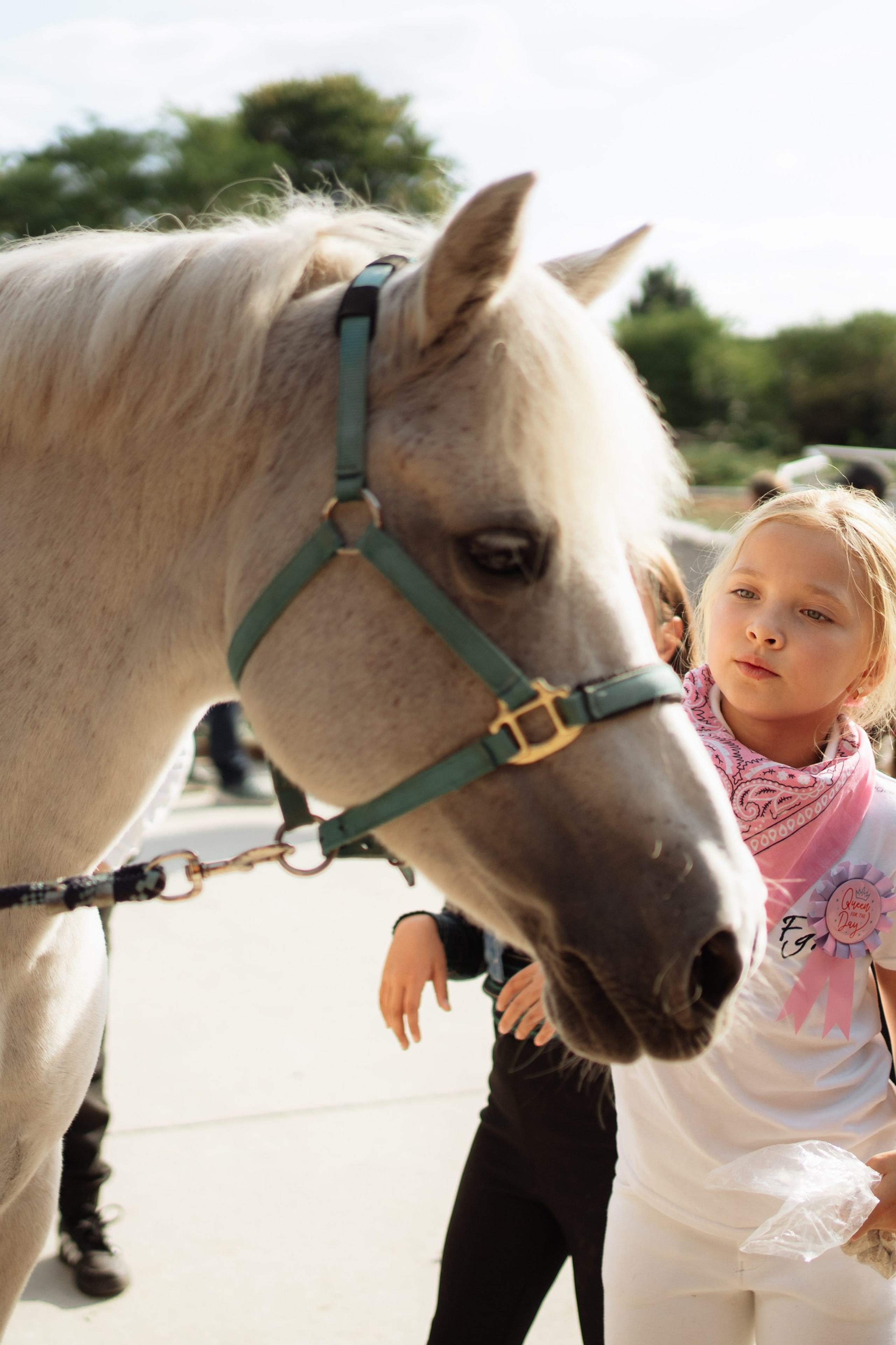 Horse party. Photographer in London Daria Agafonova