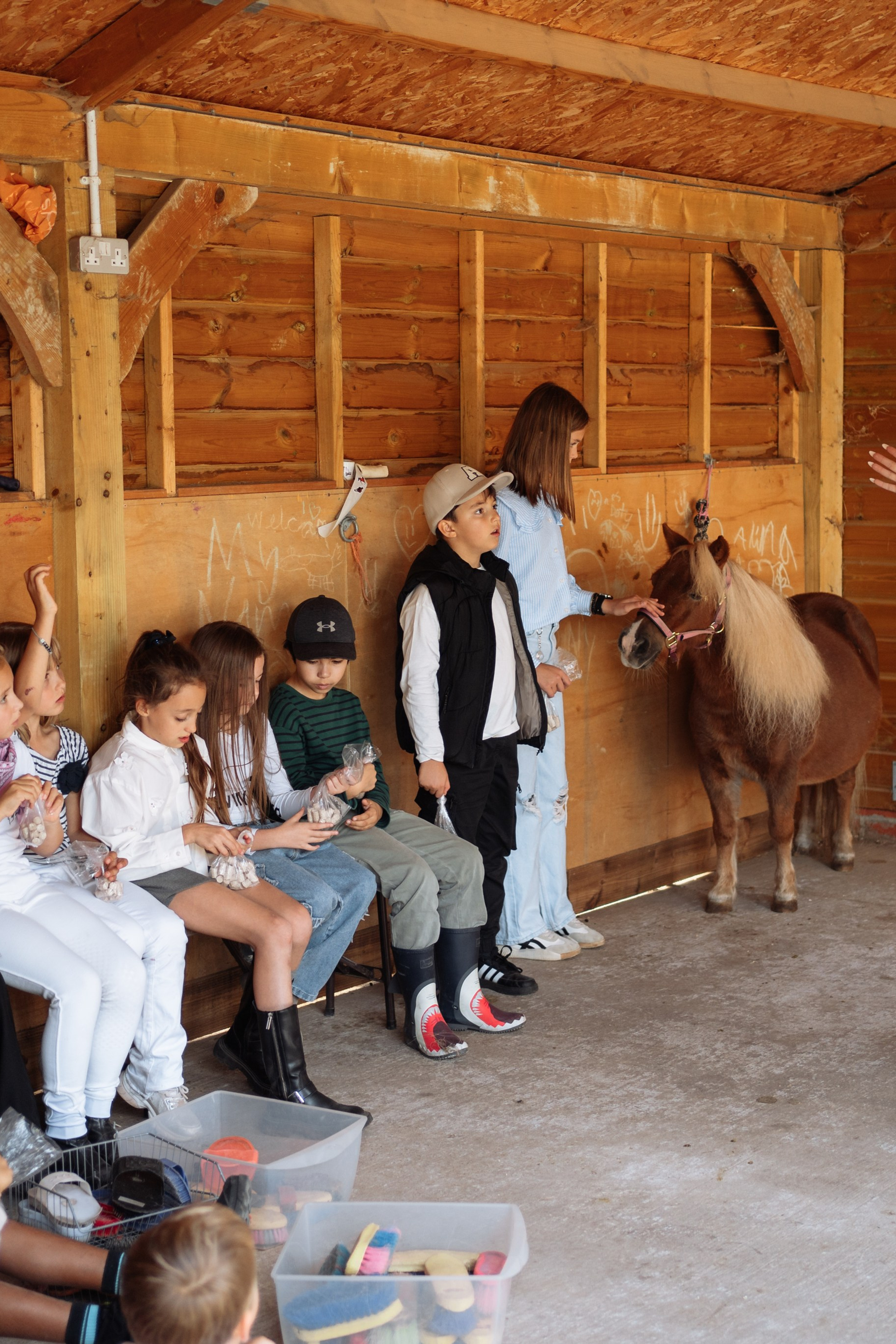 Horse party. Photographer in London Daria Agafonova