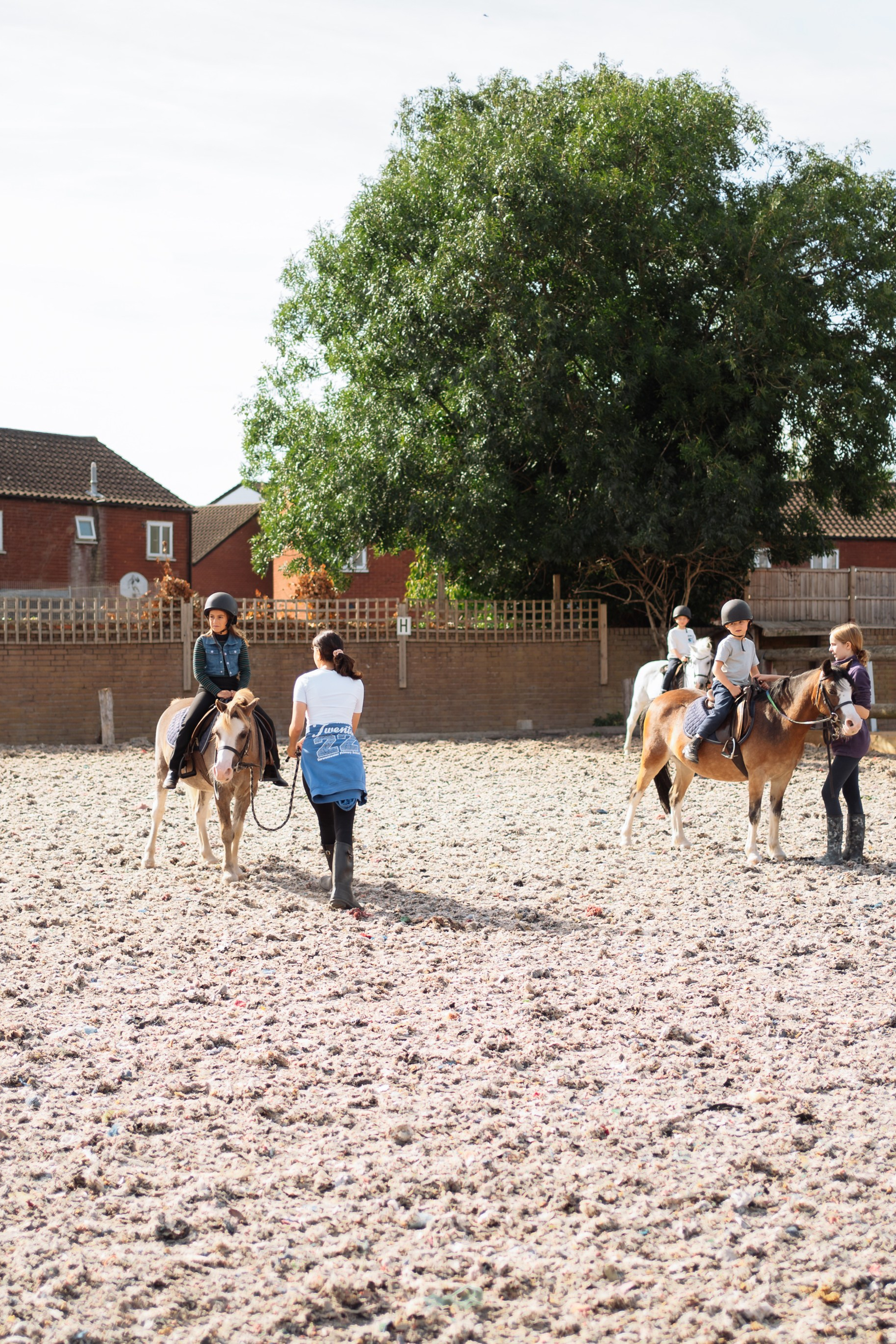 Horse party. Photographer in London Daria Agafonova