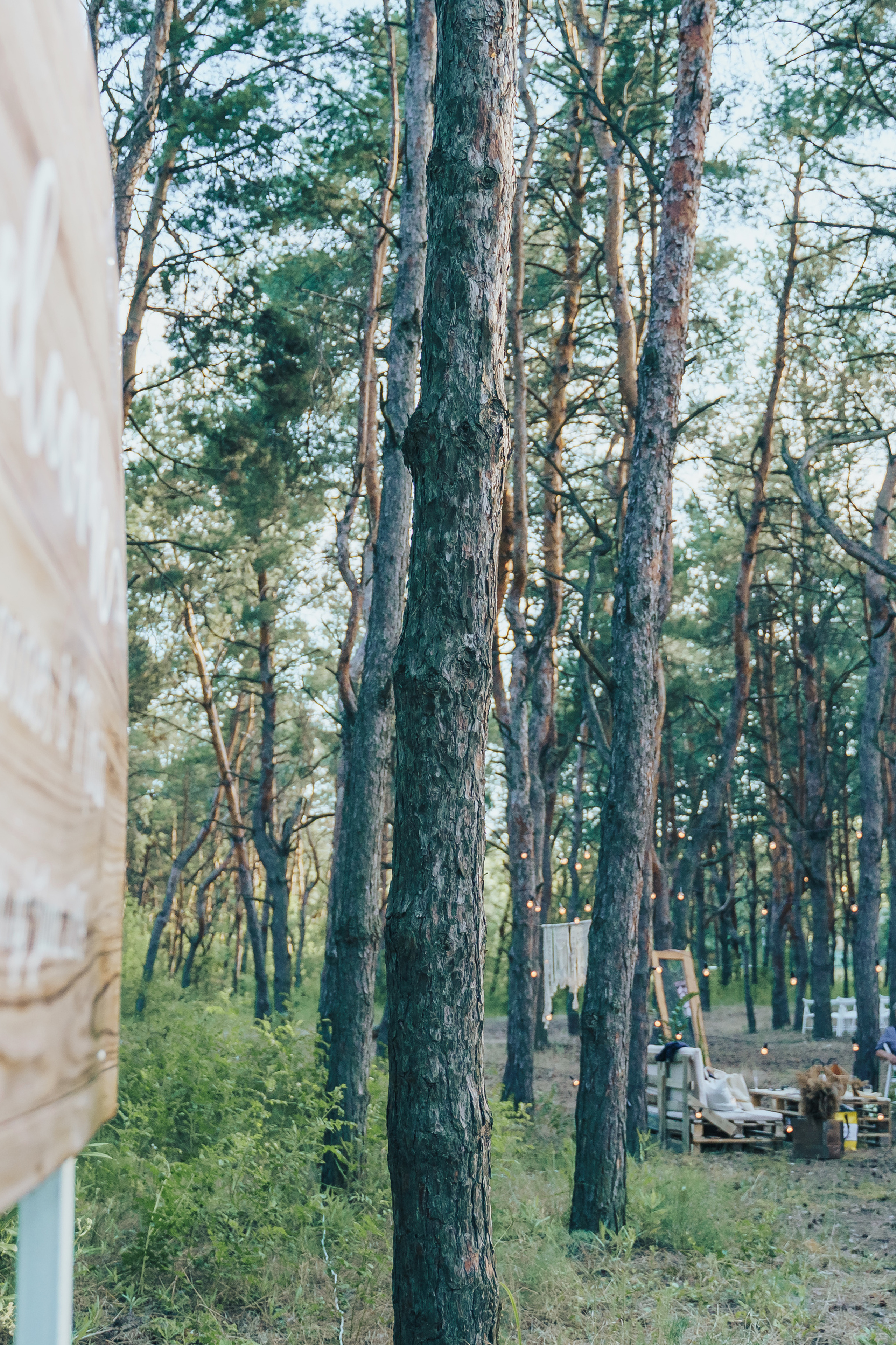 Forest wedding. Maria and Oleksandr. Photographer in London Daria Agafonova