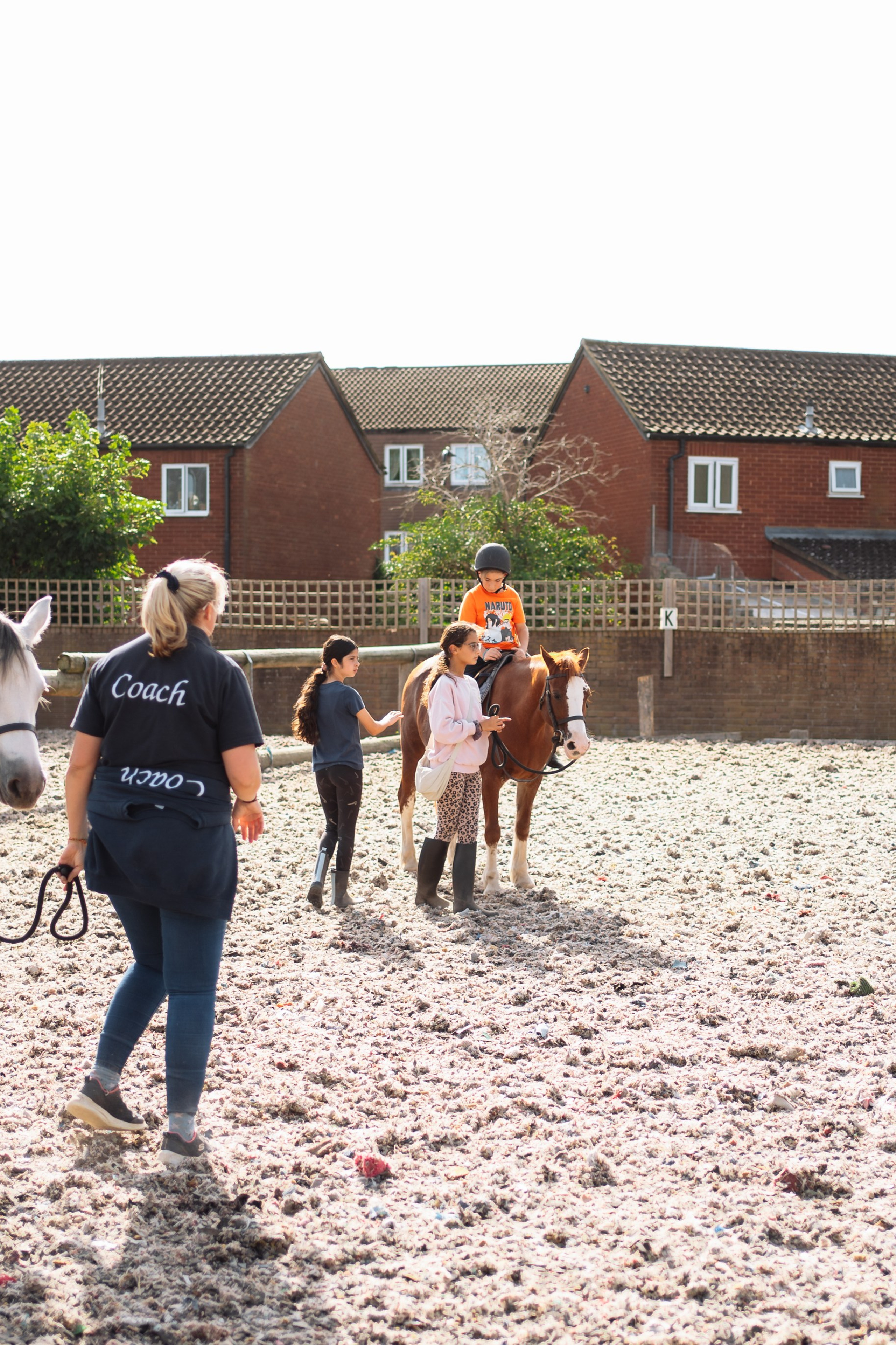 Horse party. Photographer in London Daria Agafonova