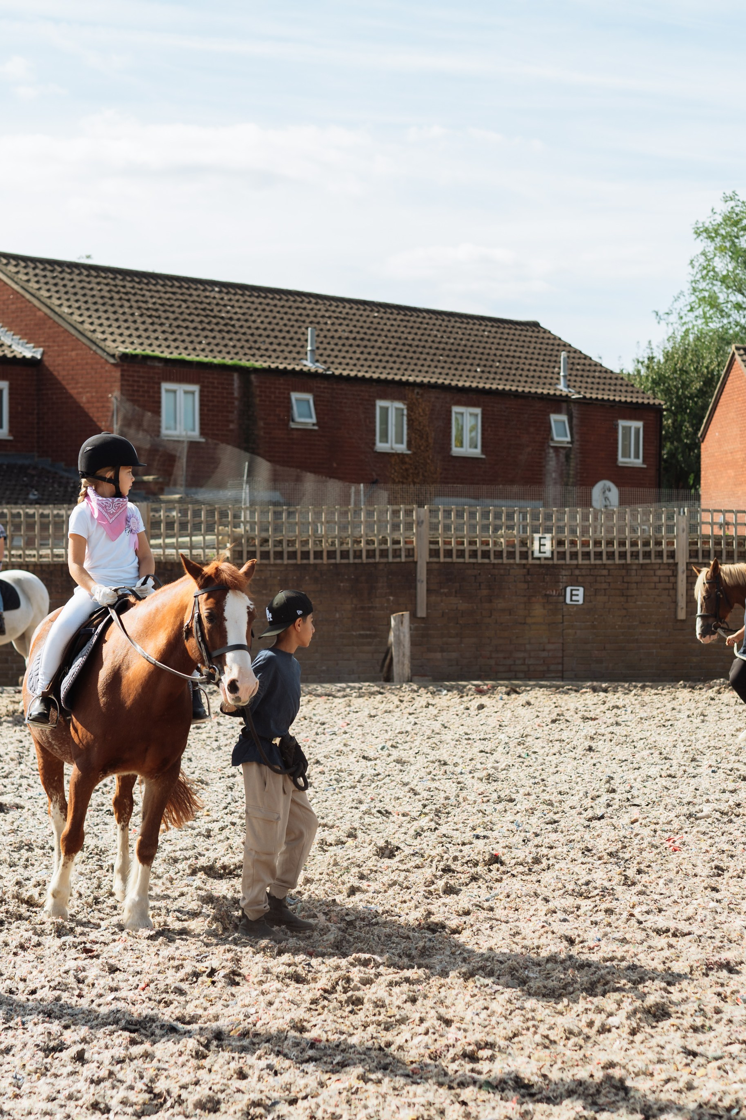 Horse party. Photographer in London Daria Agafonova