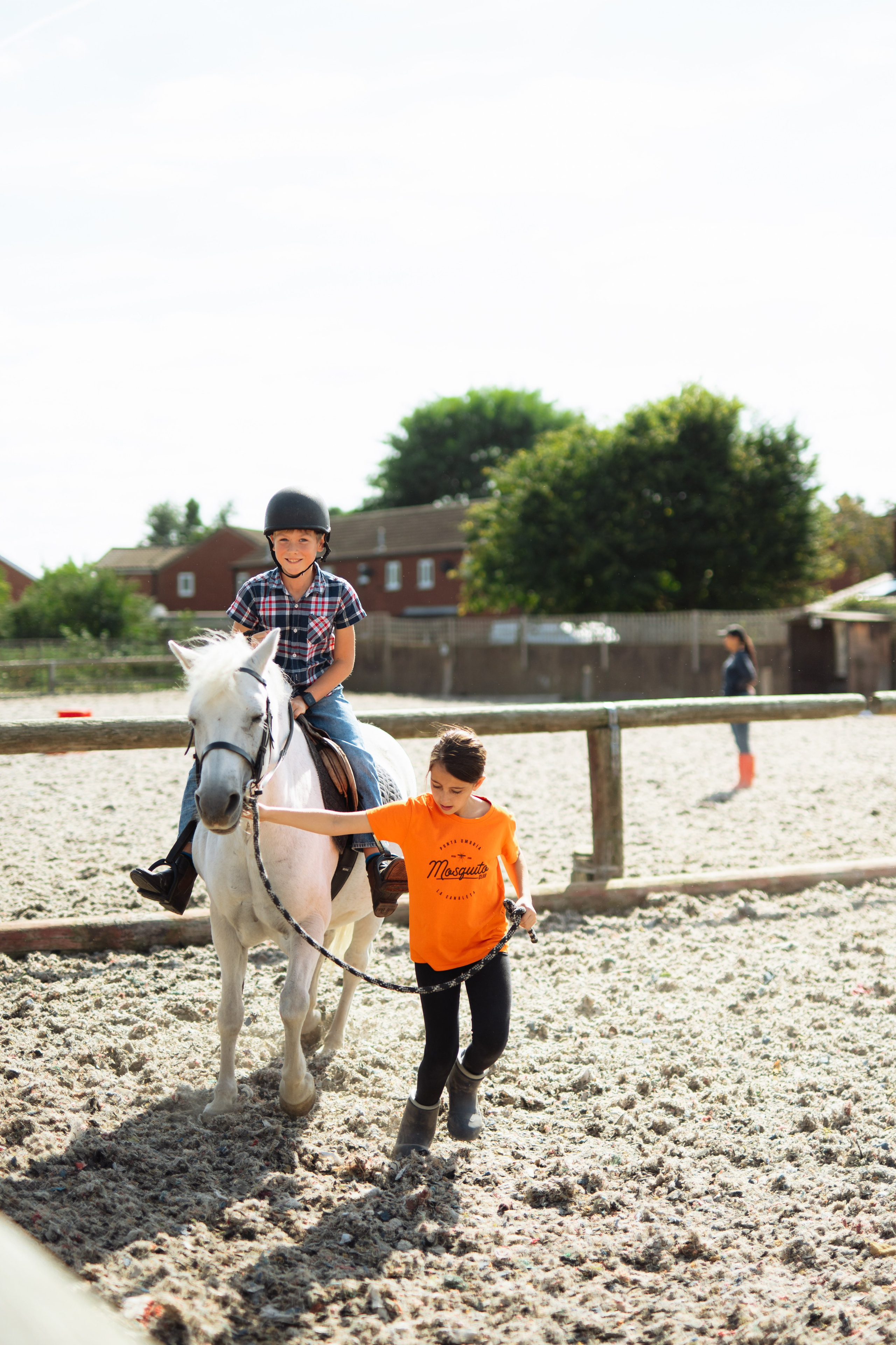 Horse party. Photographer in London Daria Agafonova