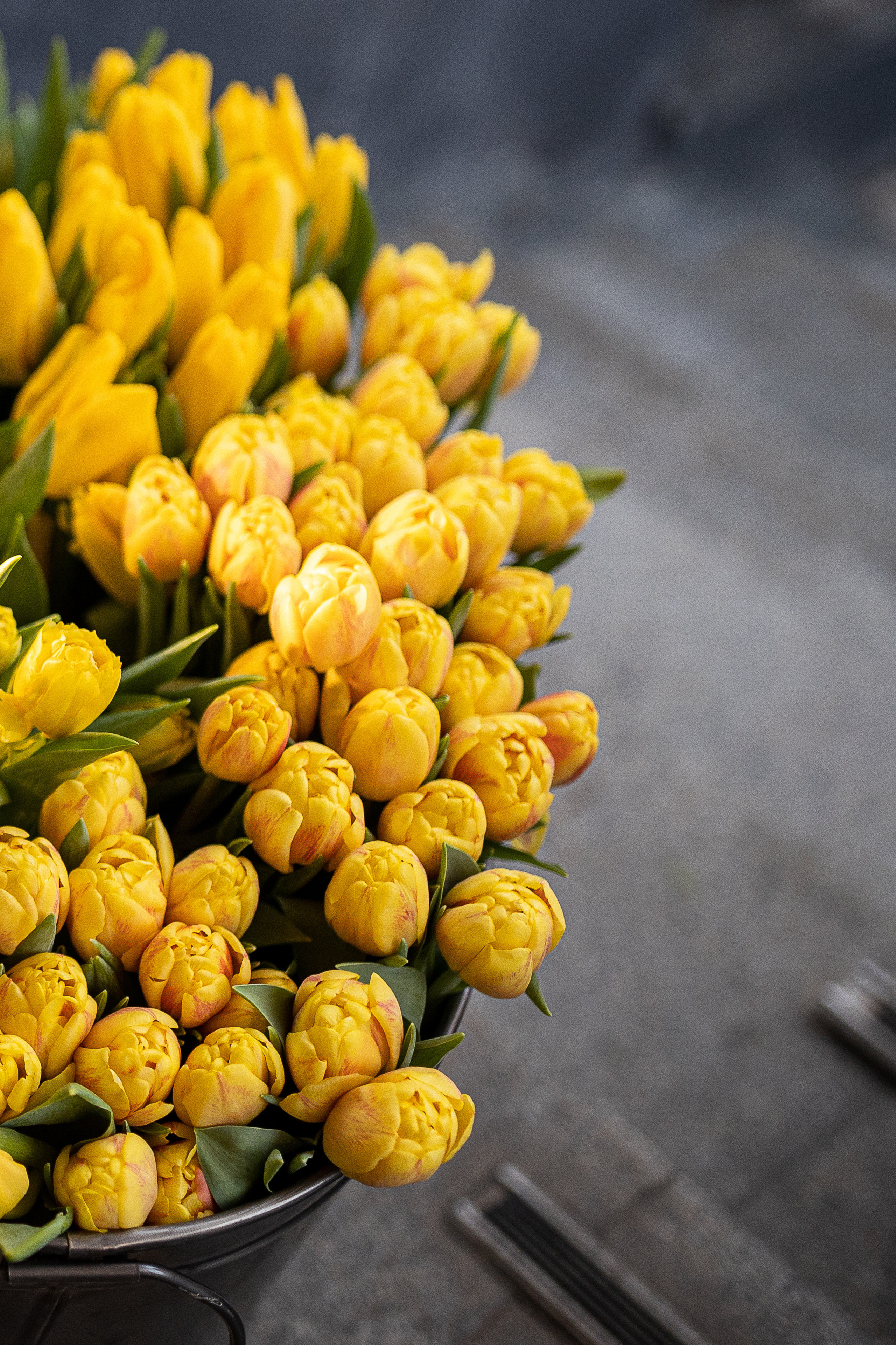 Перший кавун Михайлика. Портретний і сімейний фотограф Київ