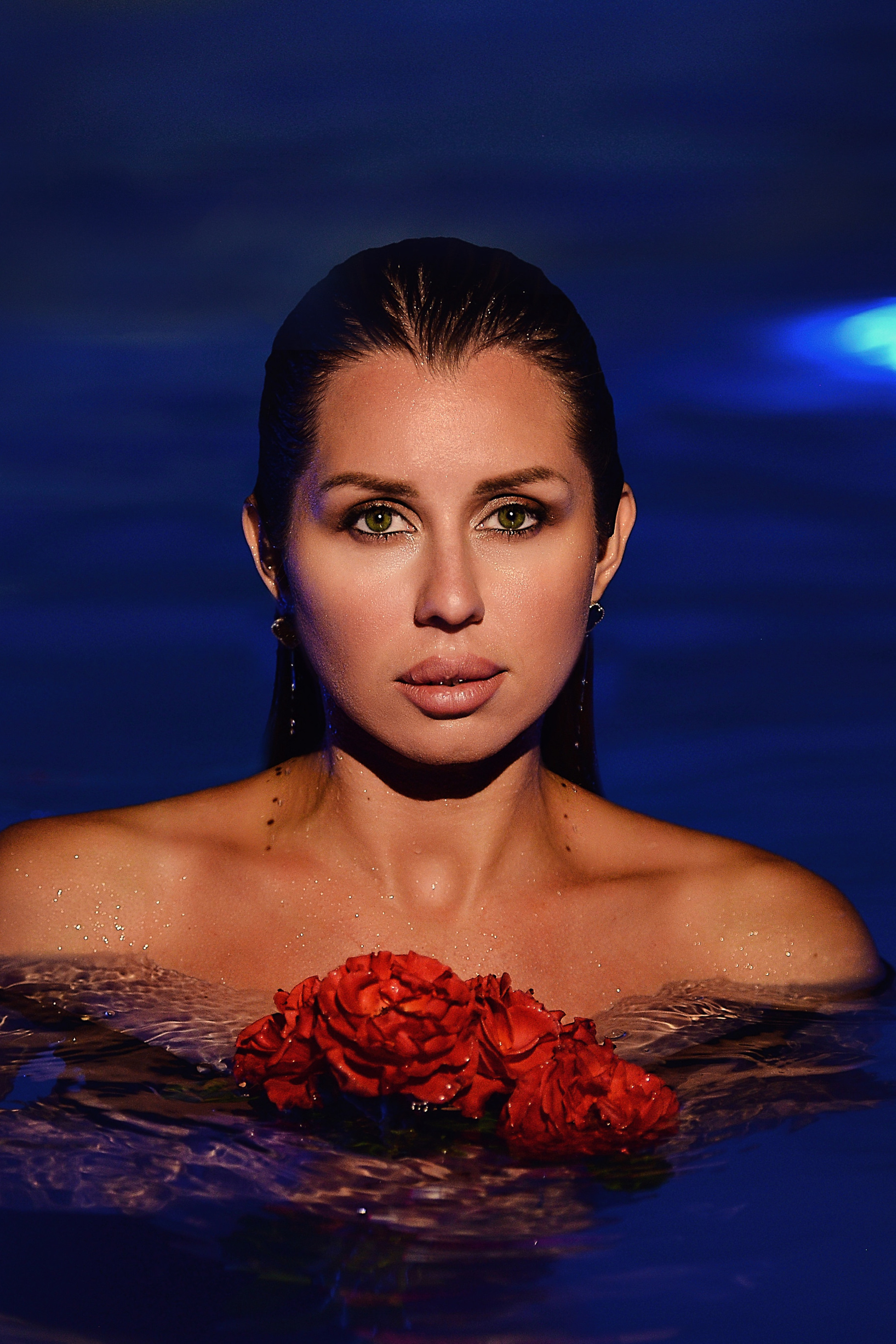 Две кошки. Фотограф Натали Кошевая _ Днепр, Подгородное