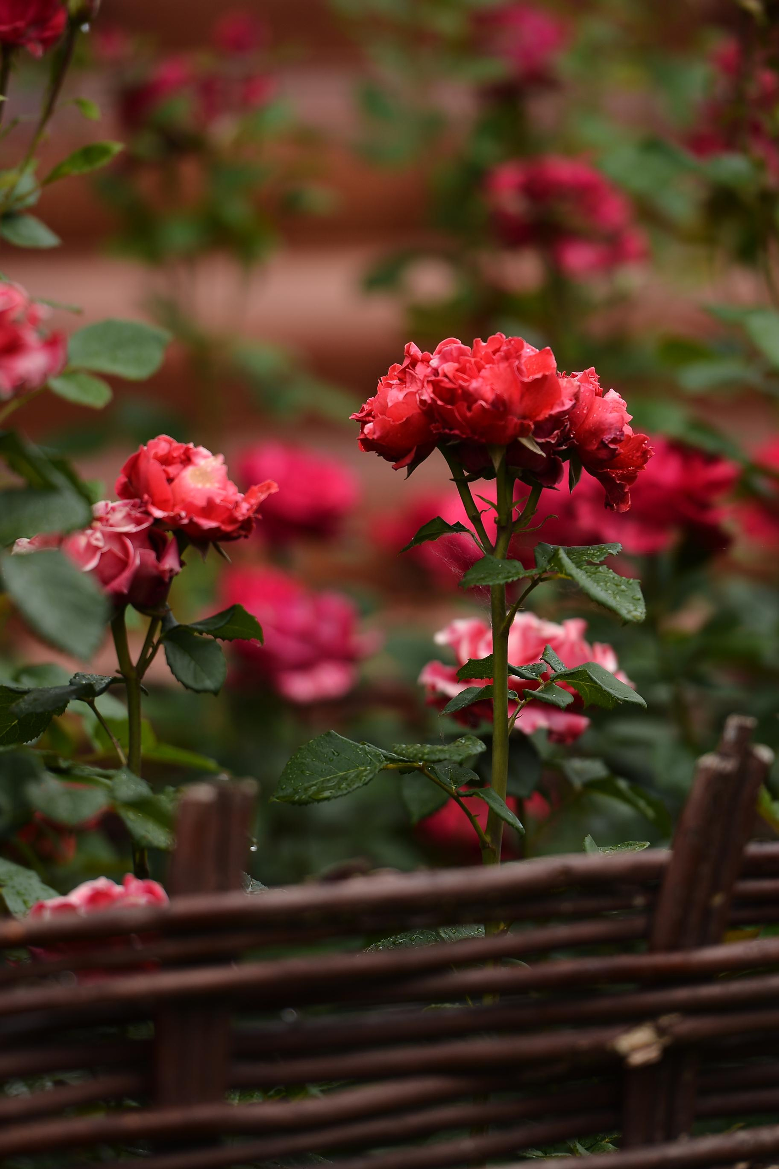 Антон_студия. Фотограф Натали Кошевая _ Днепр, Подгородное