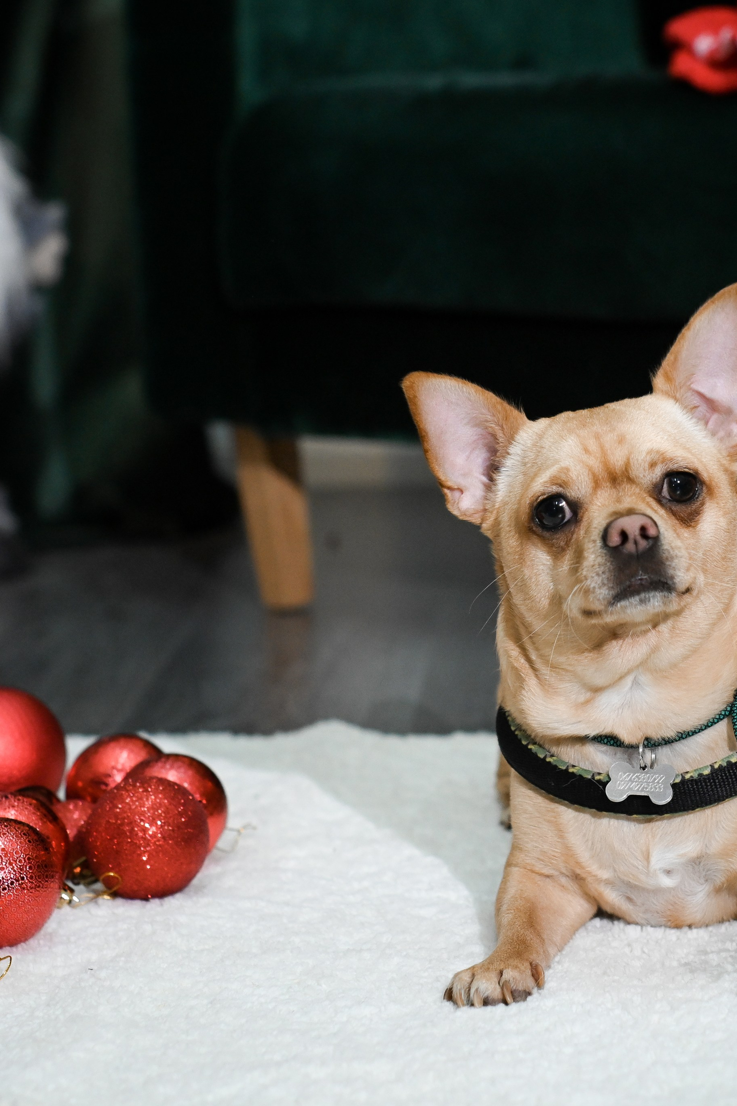 Мама и дочь. Фотограф Натали Кошевая _ Днепр, Подгородное