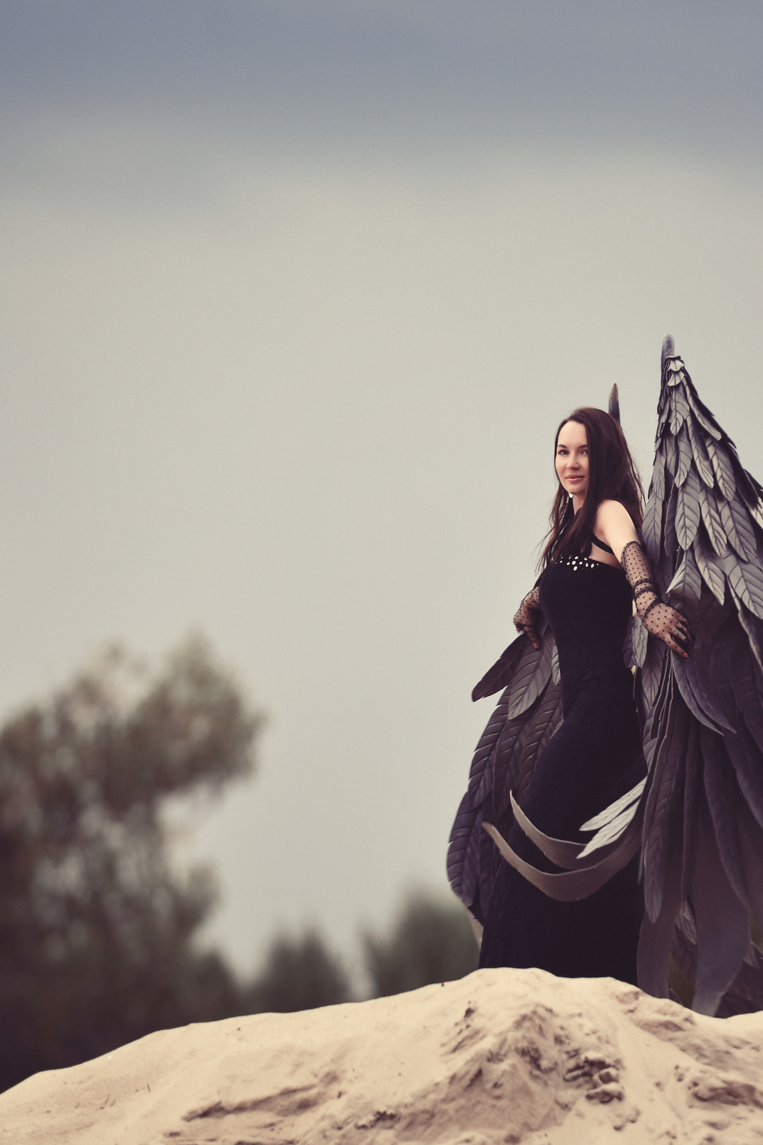 Две кошки. Фотограф Натали Кошевая _ Днепр, Подгородное