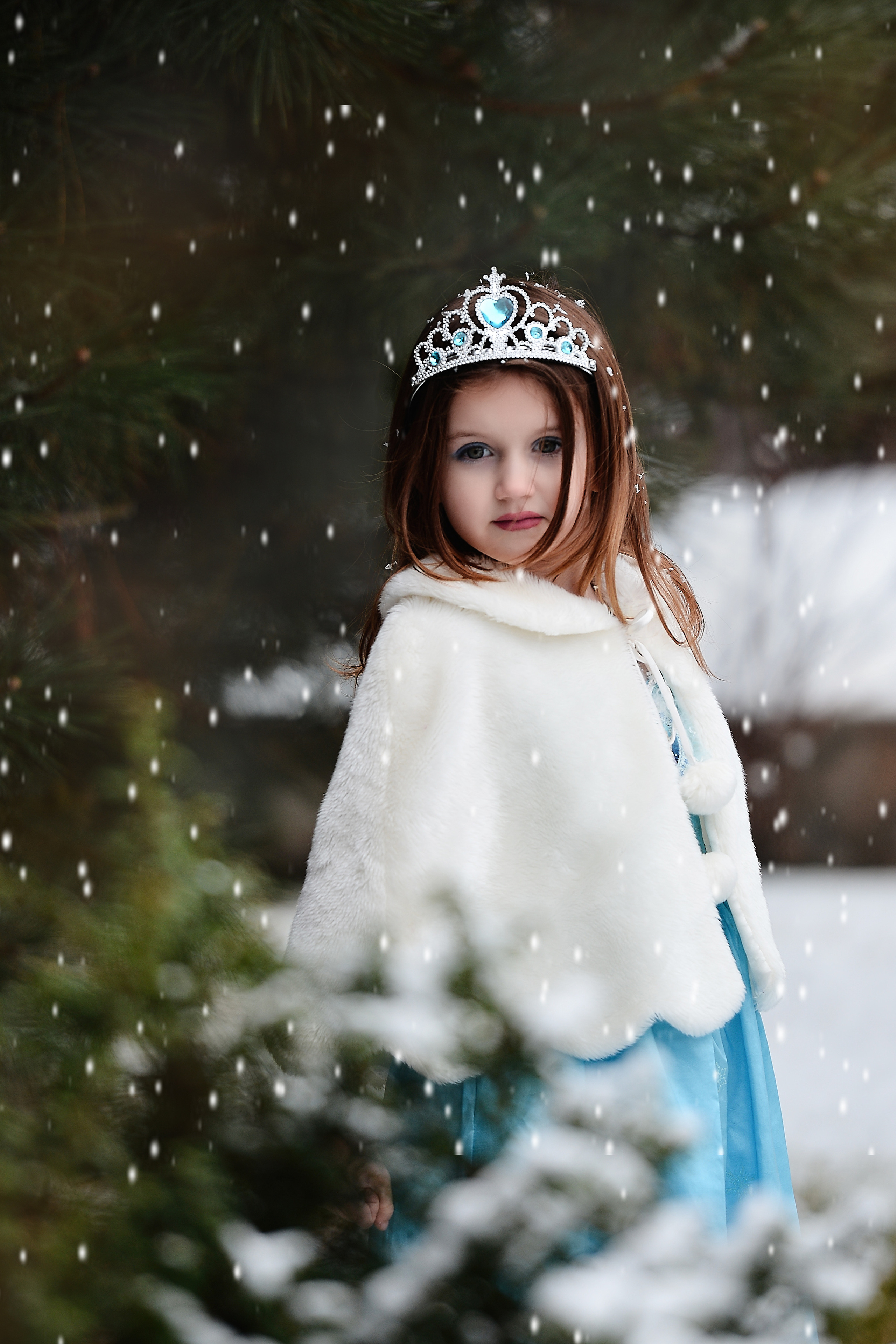 Тюльпанный рай. Фотограф Натали Кошевая _ Днепр, Подгородное