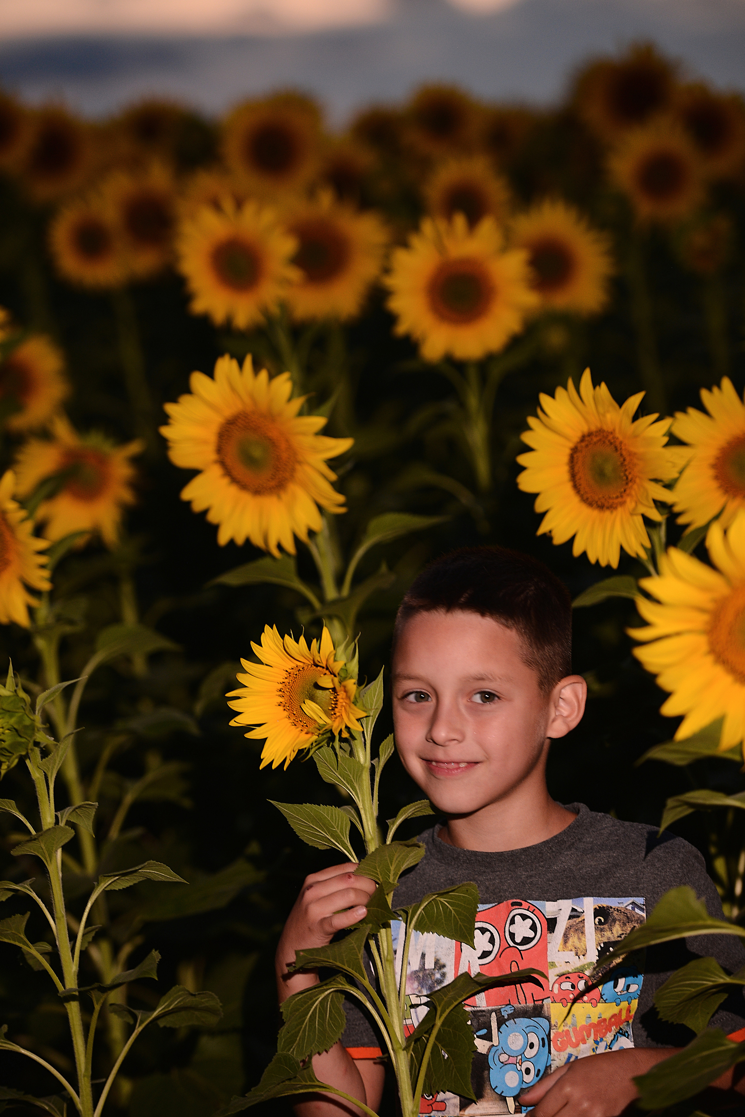 Две кошки. Фотограф Натали Кошевая _ Днепр, Подгородное