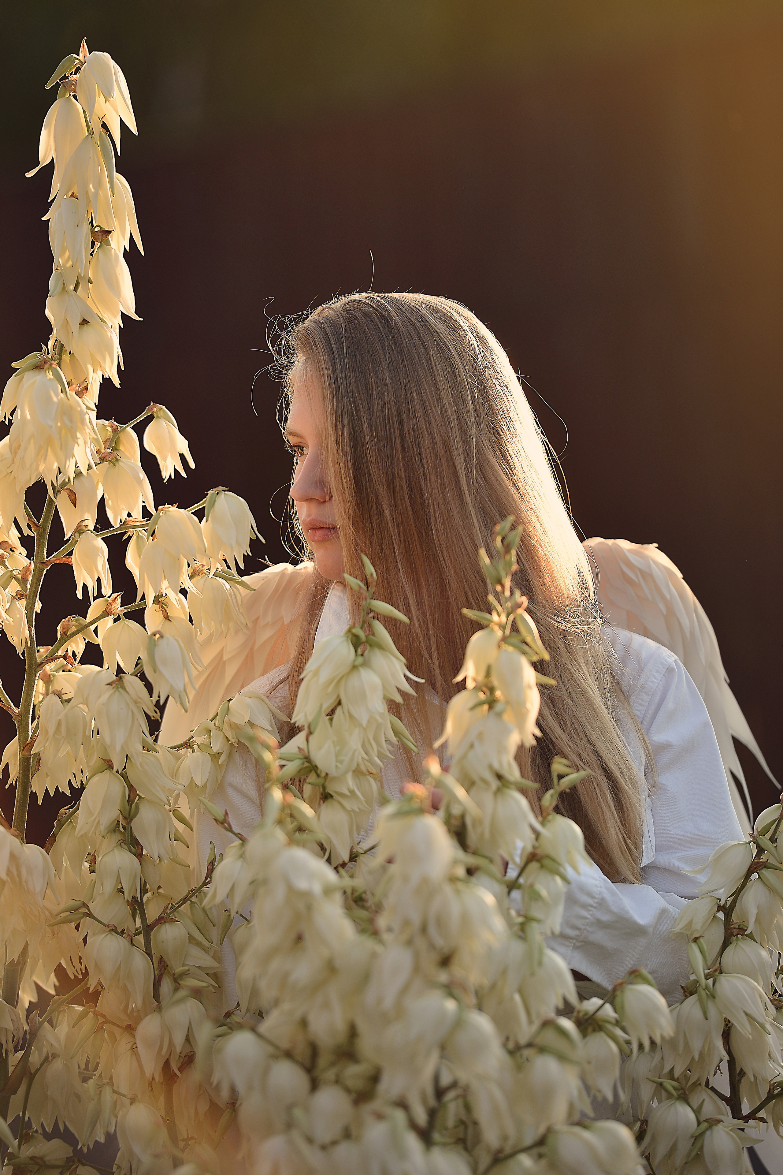 Две кошки. Фотограф Натали Кошевая _ Днепр, Подгородное