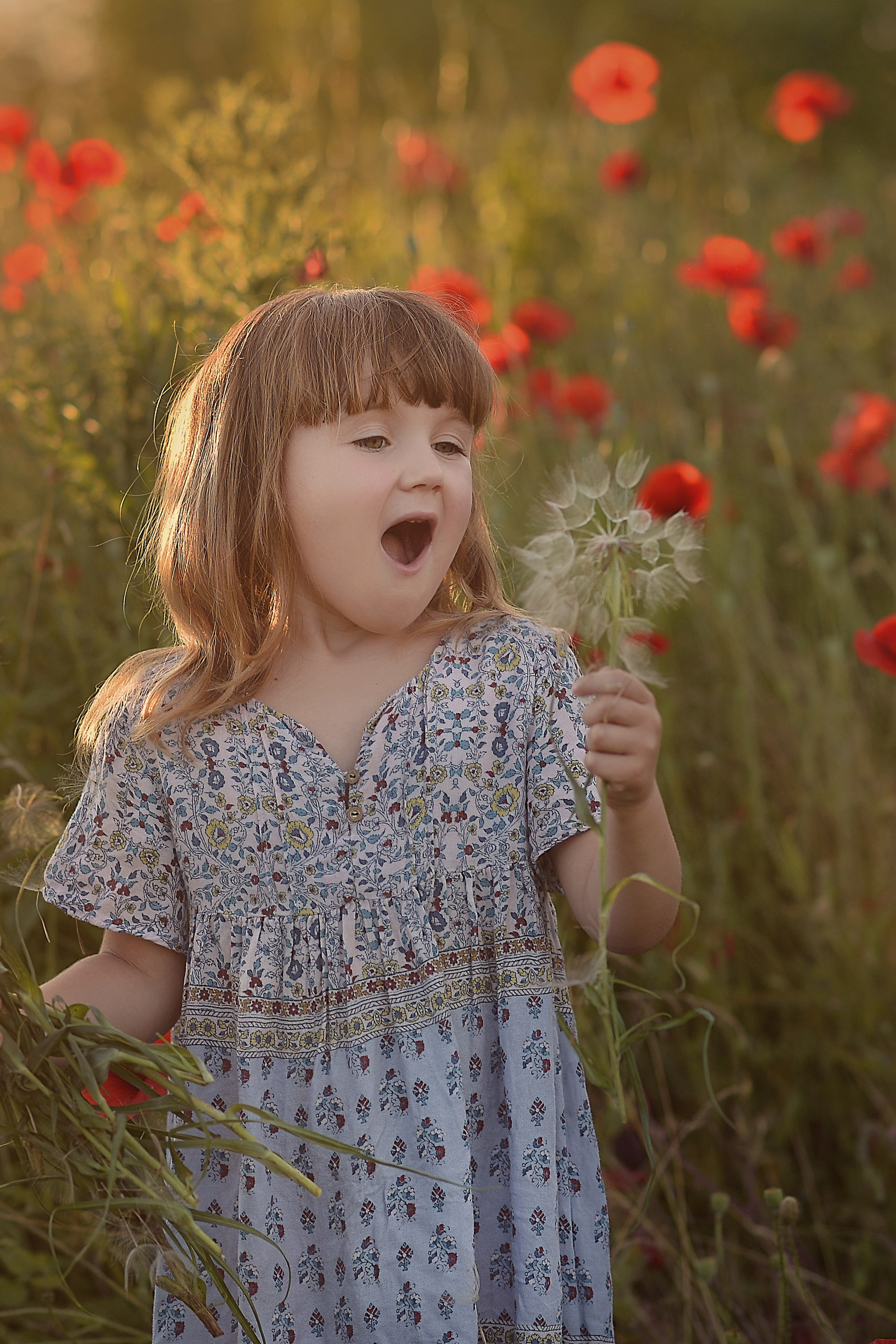За минуту до дождя. Фотограф Натали Кошевая _ Днепр, Подгородное