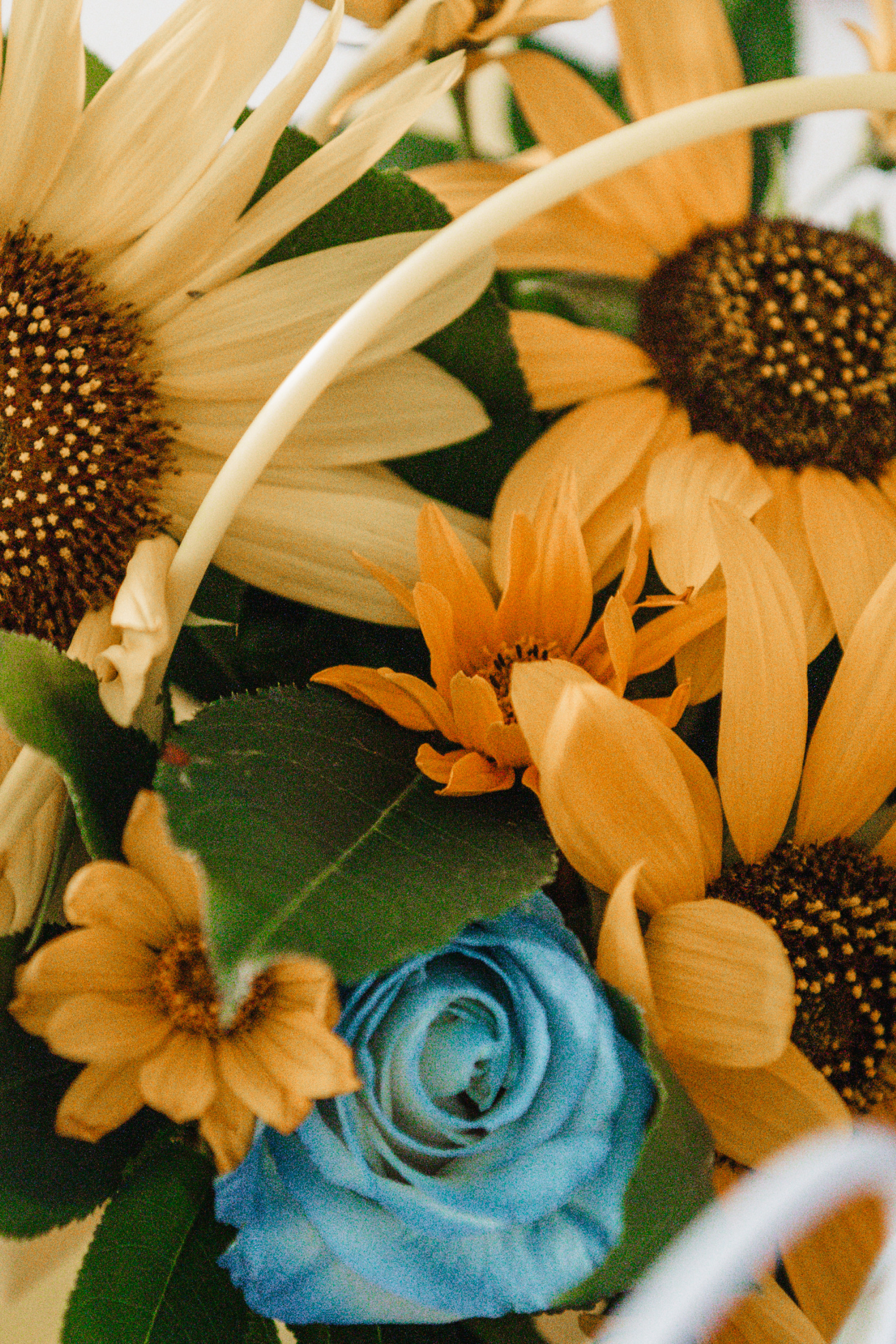 Відгуки. Репортажний та сімейний фотограф Дар’я Хорошавцева