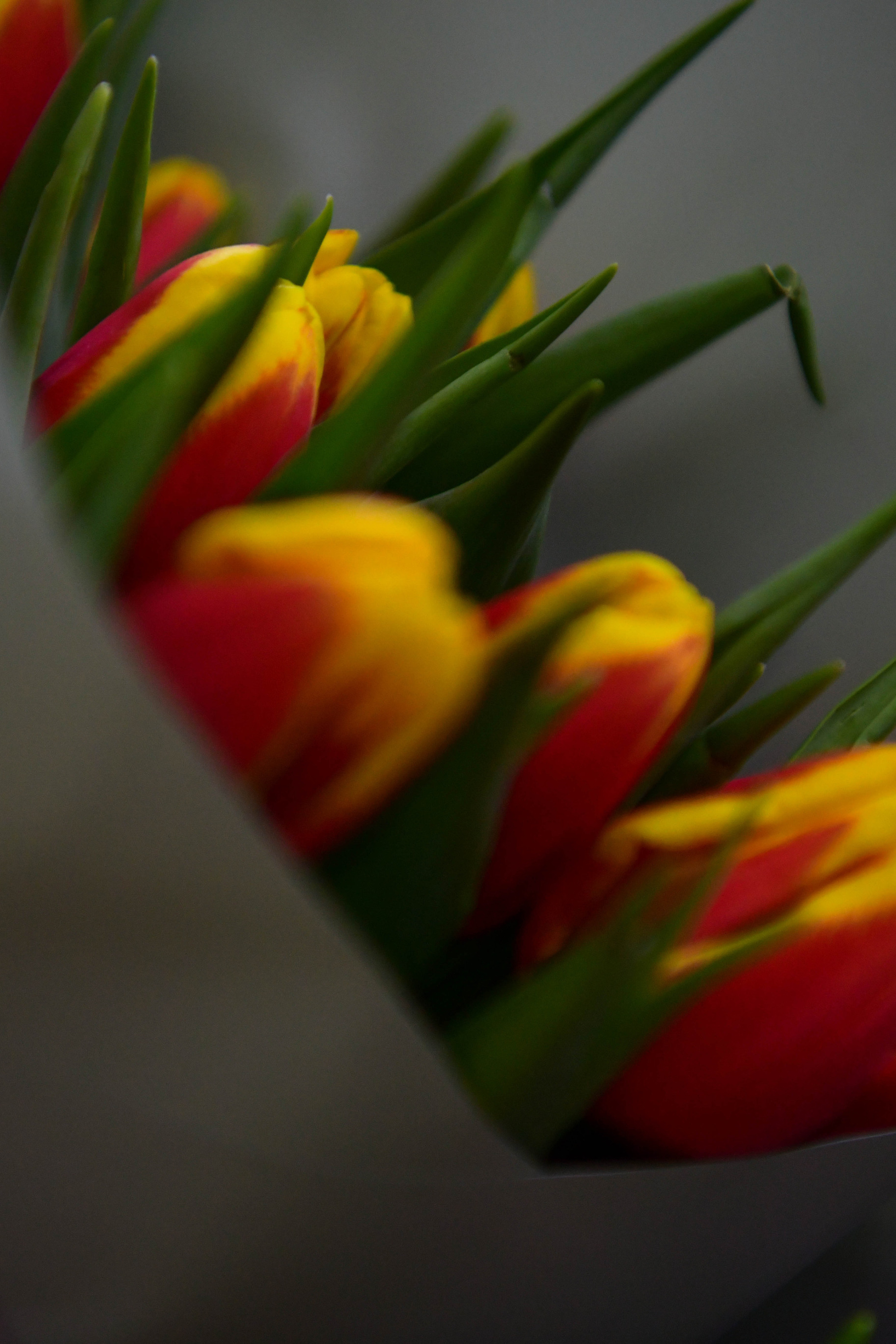 Відгуки. Репортажний та сімейний фотограф Дар’я Хорошавцева