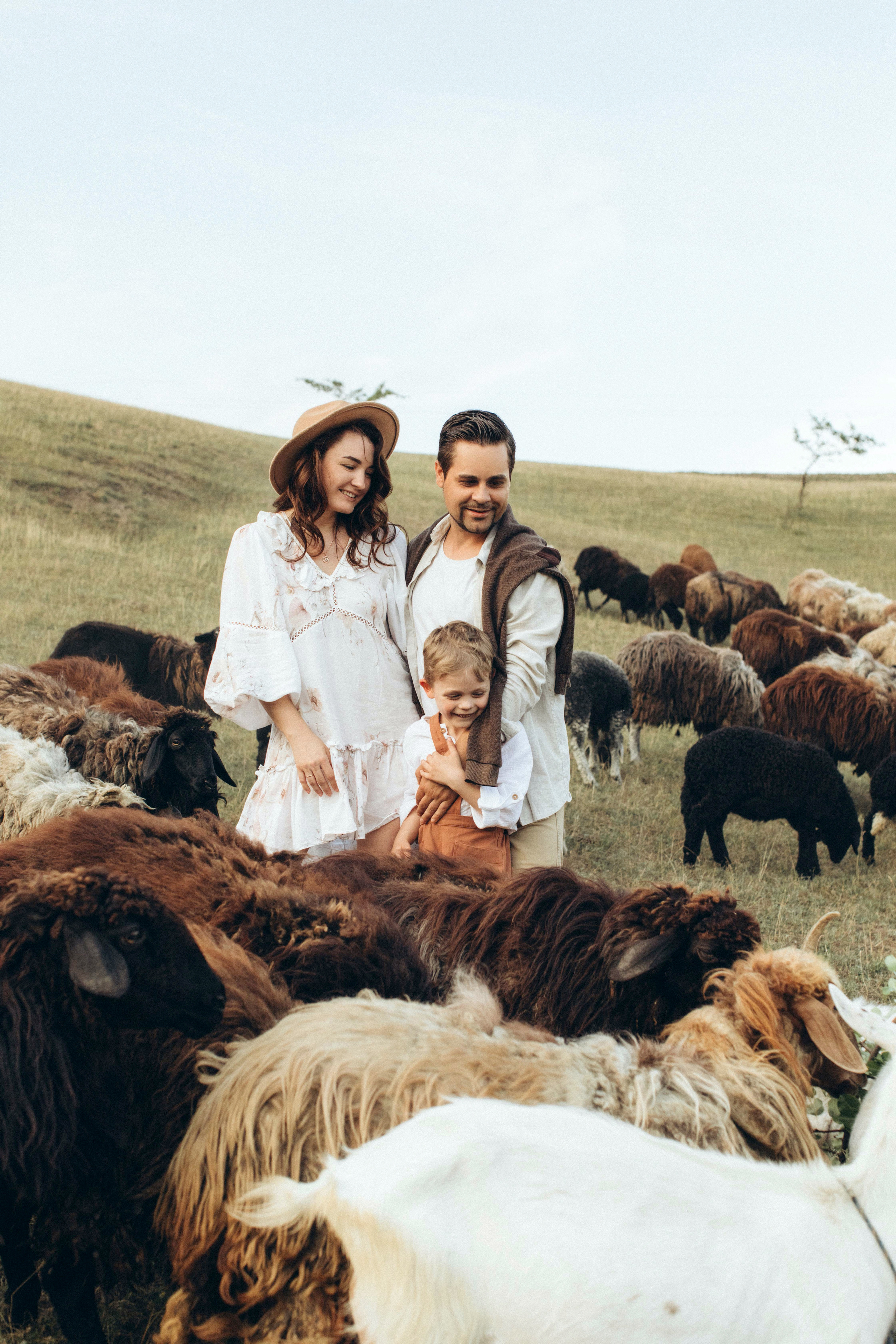 Одного разу на вівчарні: Денис, Віка і Владік