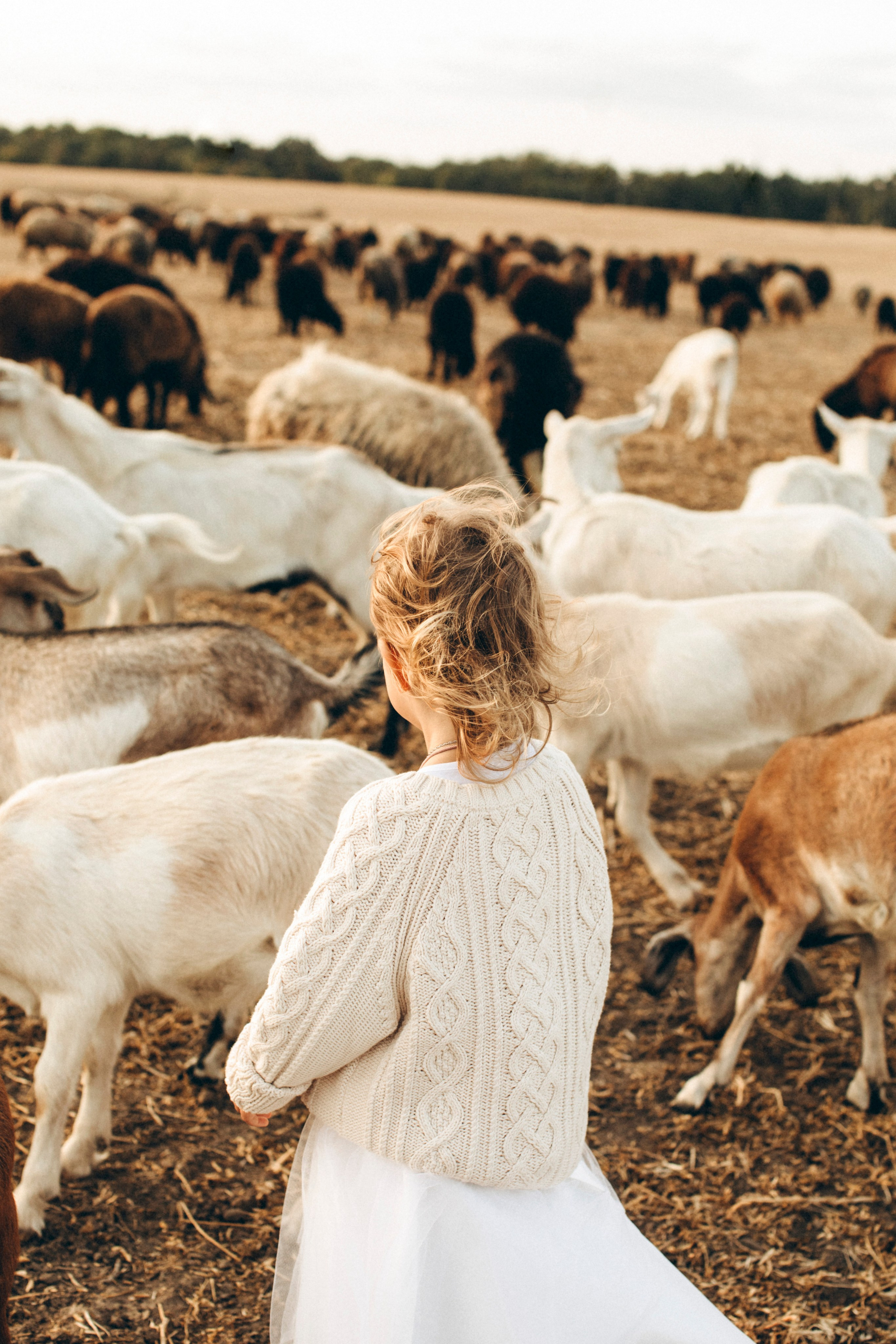 Sheepland: Слава, Крістіна і Злата