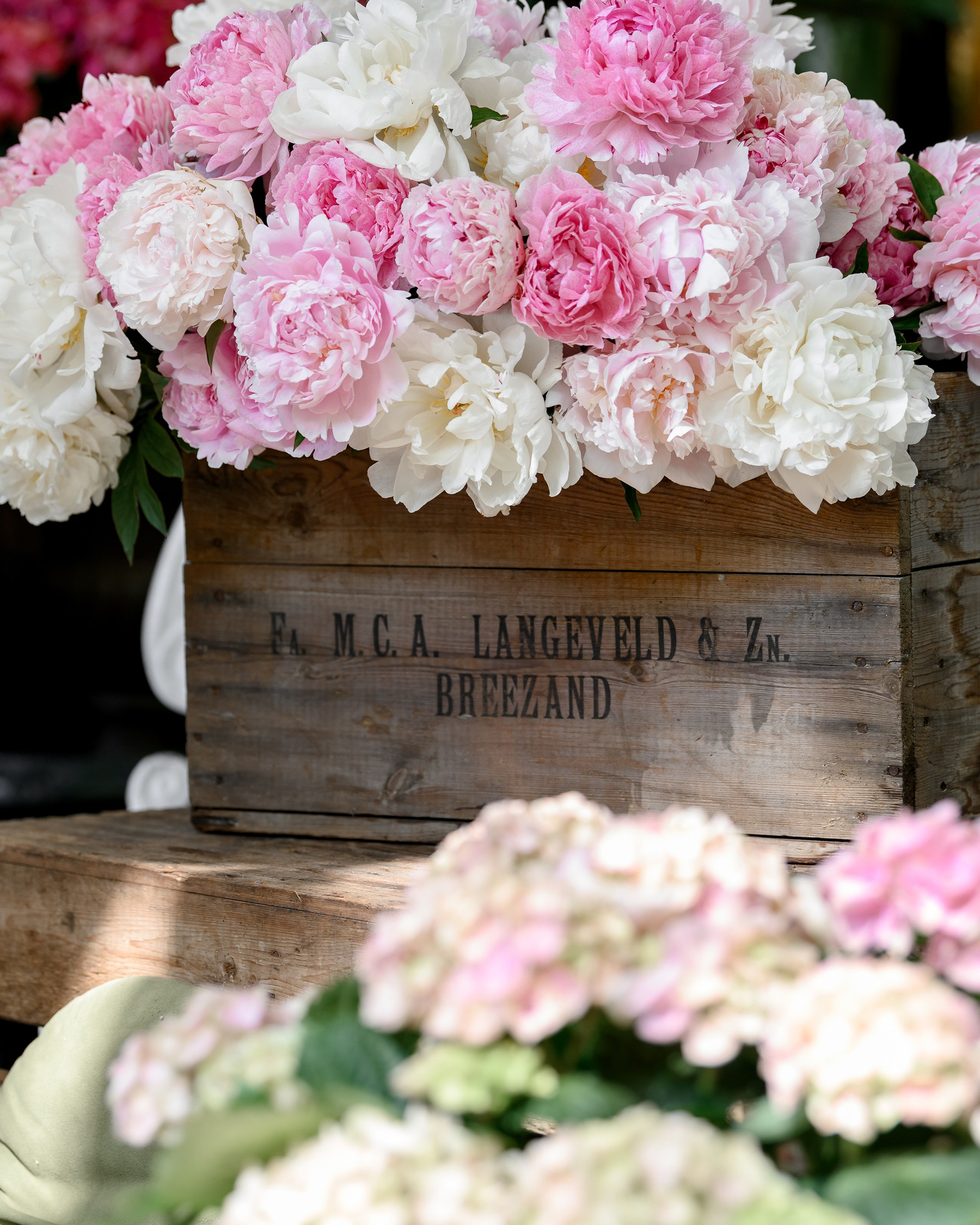 " KLOVSKYSAD summer "