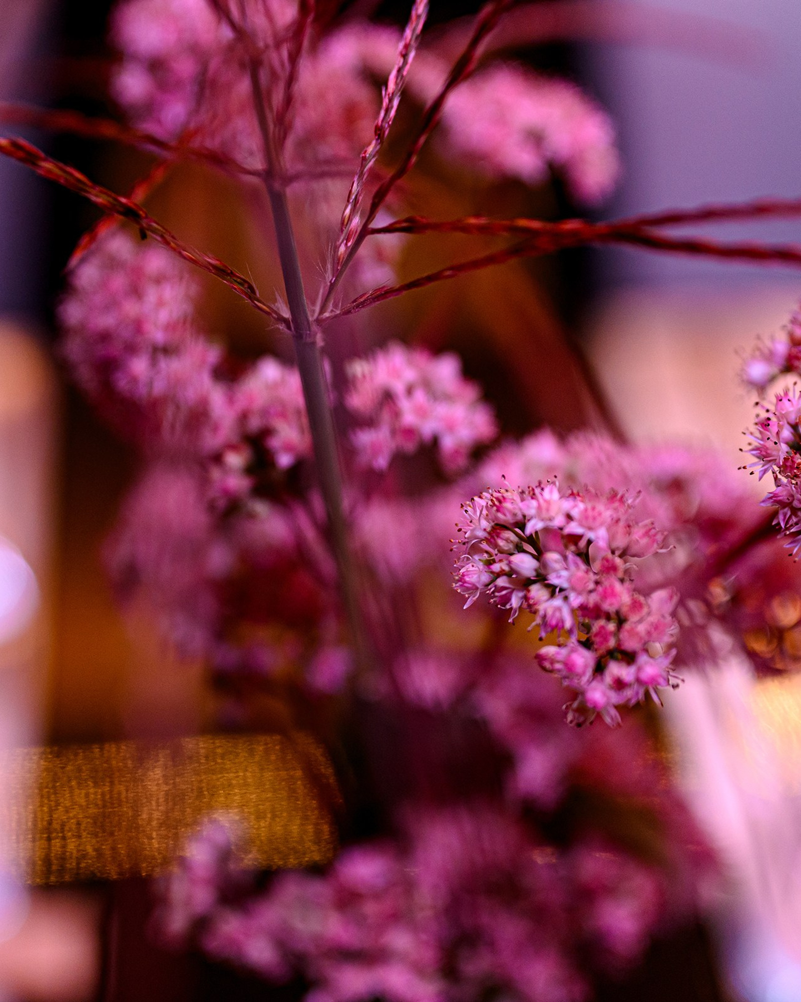 '' HAPPY BIRTHDAY ''