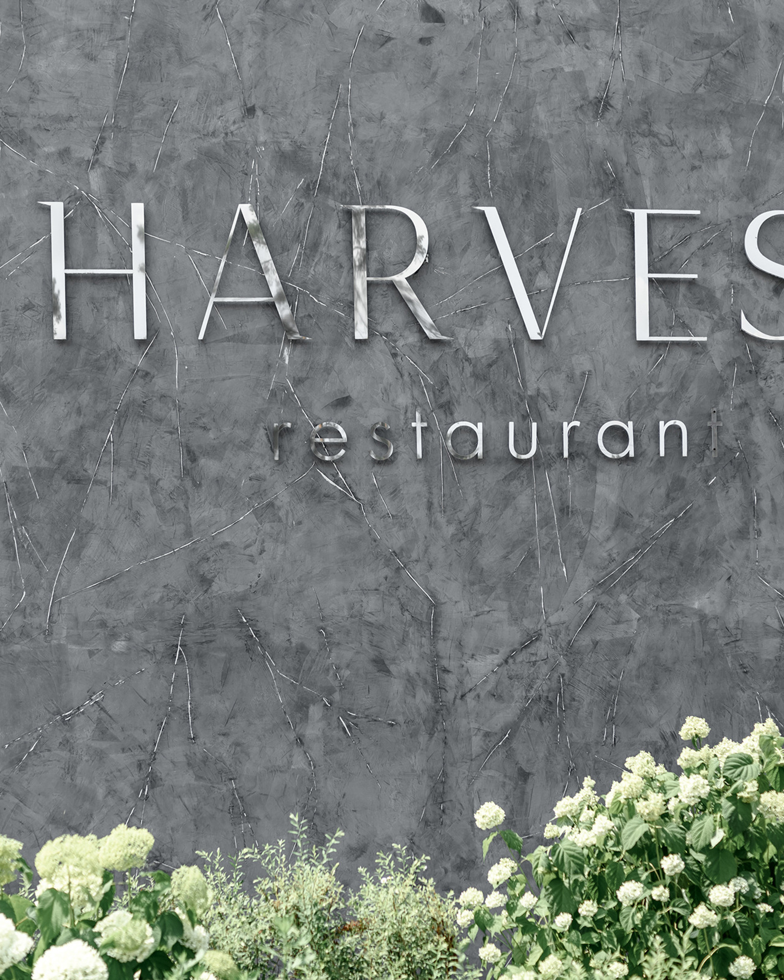 Роман & Валерія