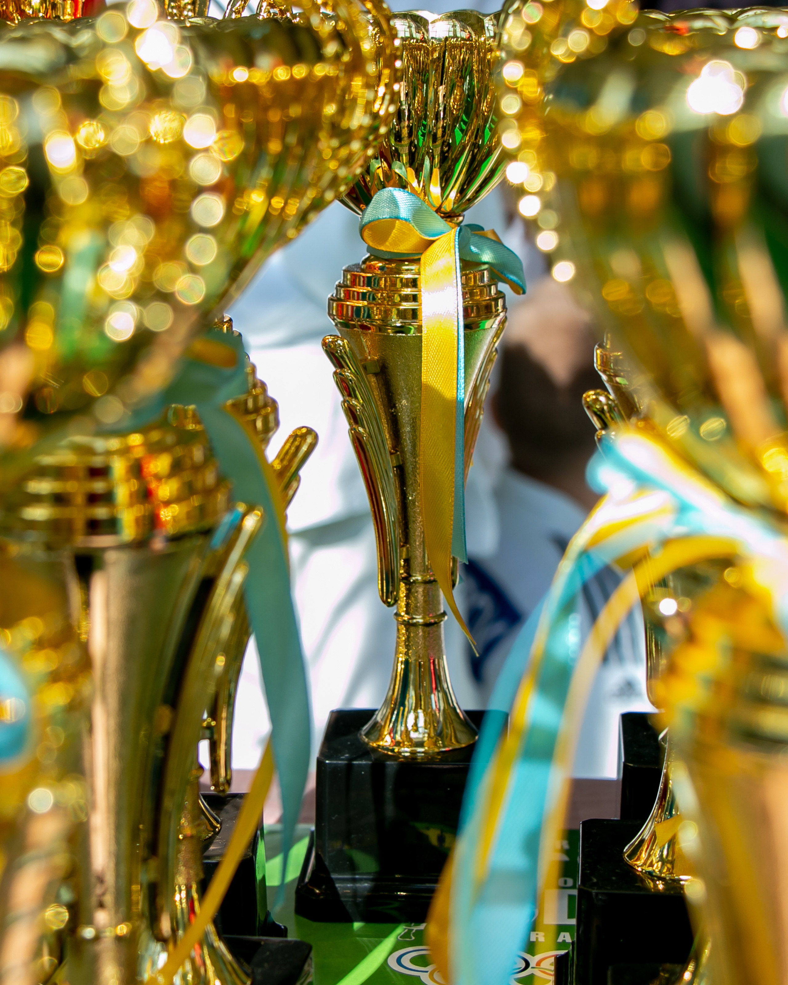 Дзюдо. Спортивный репортаж.