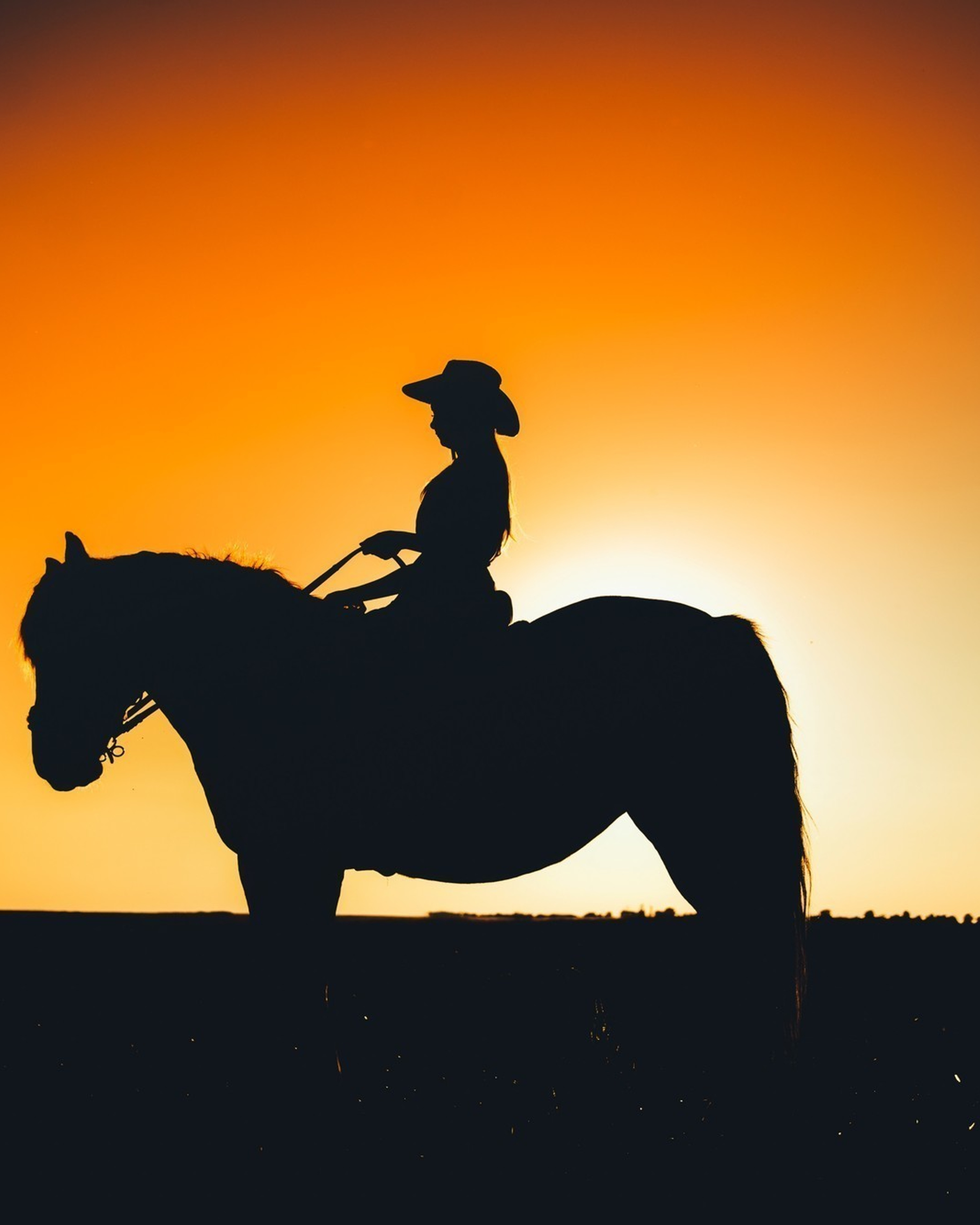 Дівич-вечір