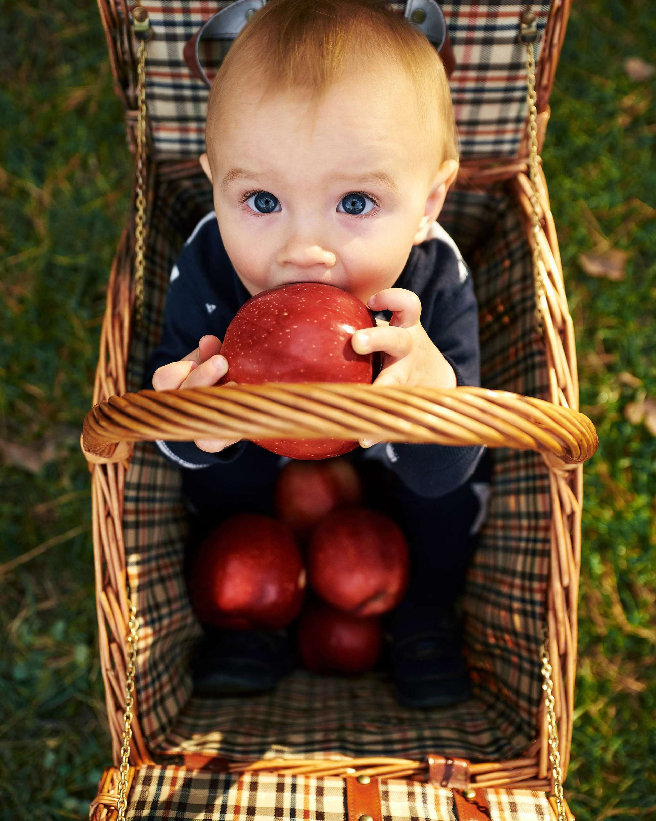 Сімейна прогулянка
