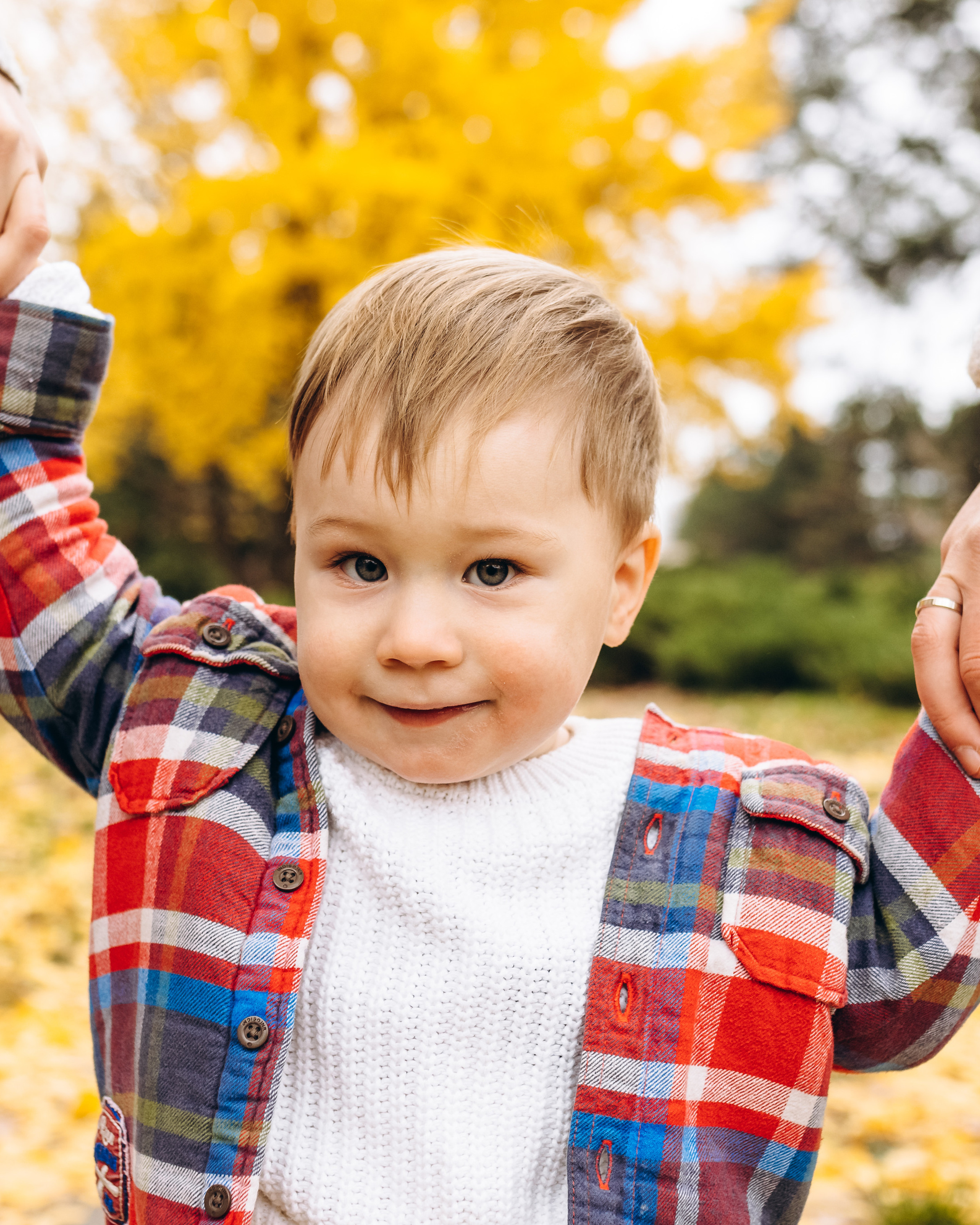 Family walk in the autunm park