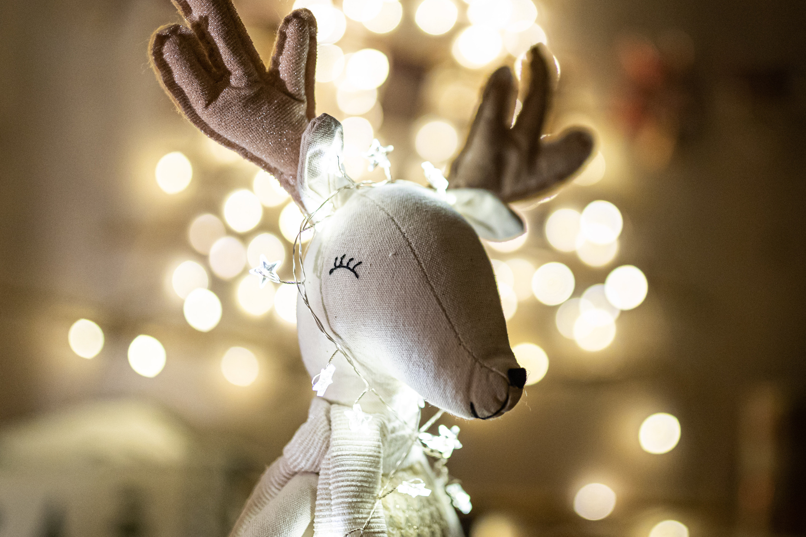 Studijsko Novogodišnje Fotografisanje