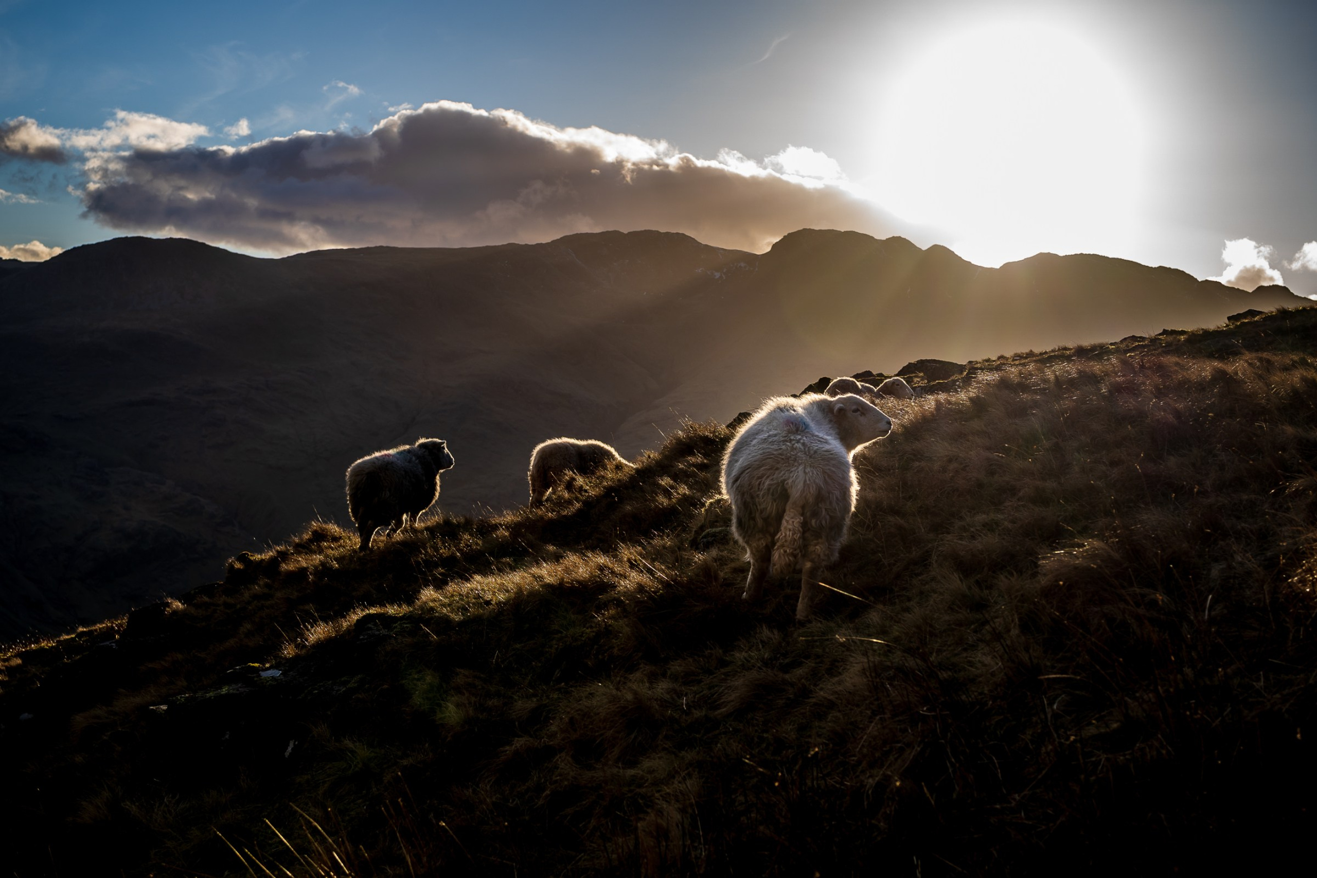 Blog. Expect Miracles Photography by Kate & Andrew