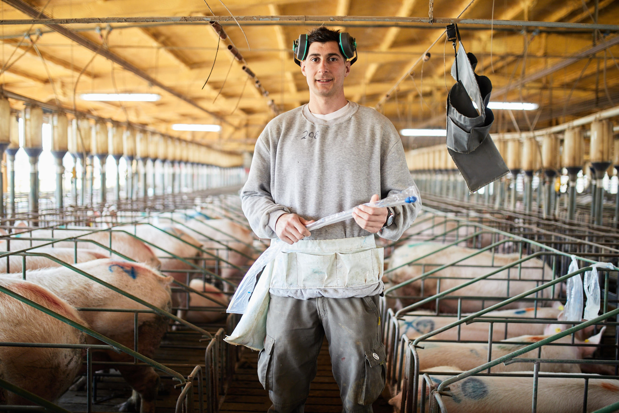 ISOWEAN | Institucional