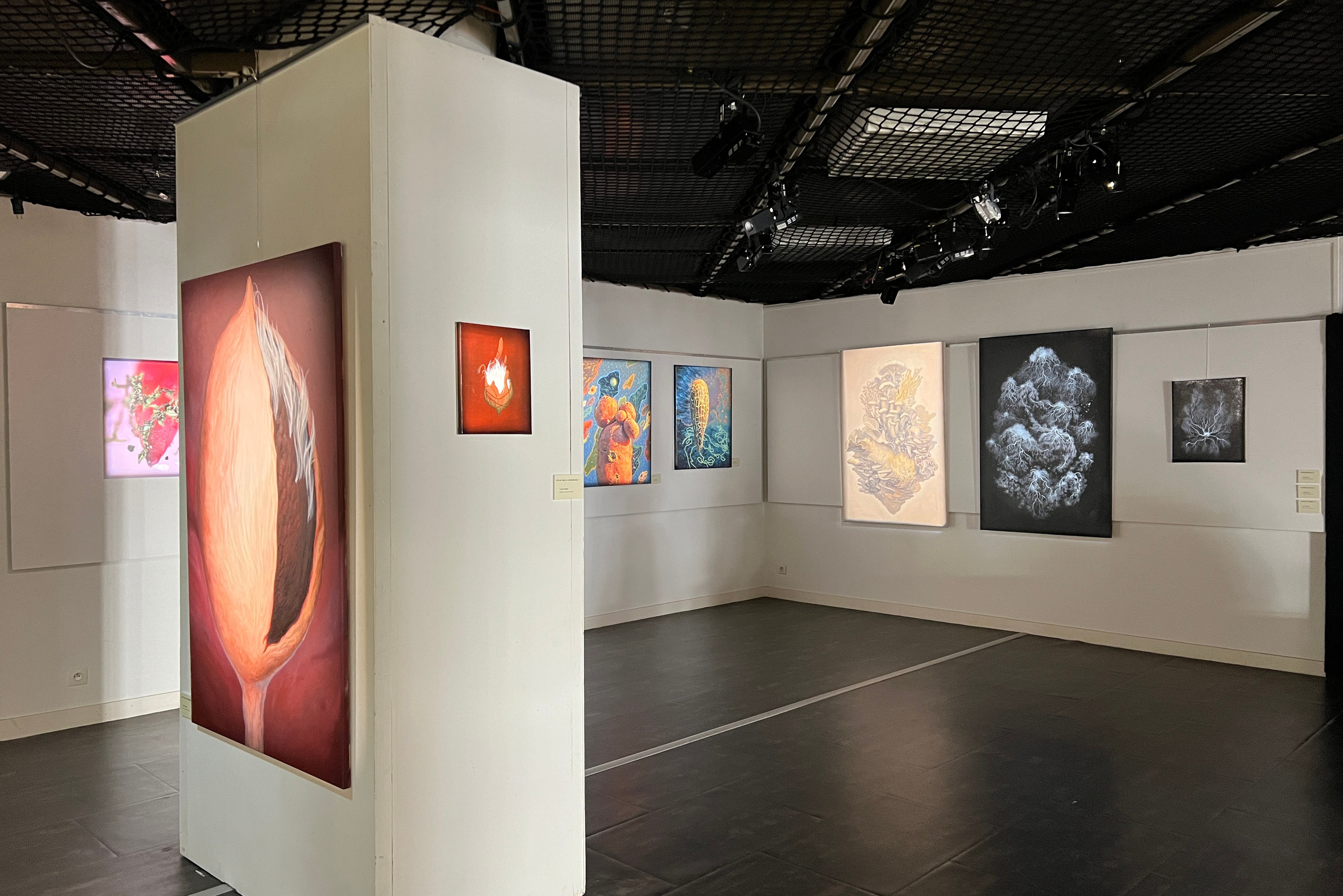 Jardin imaginé.2025