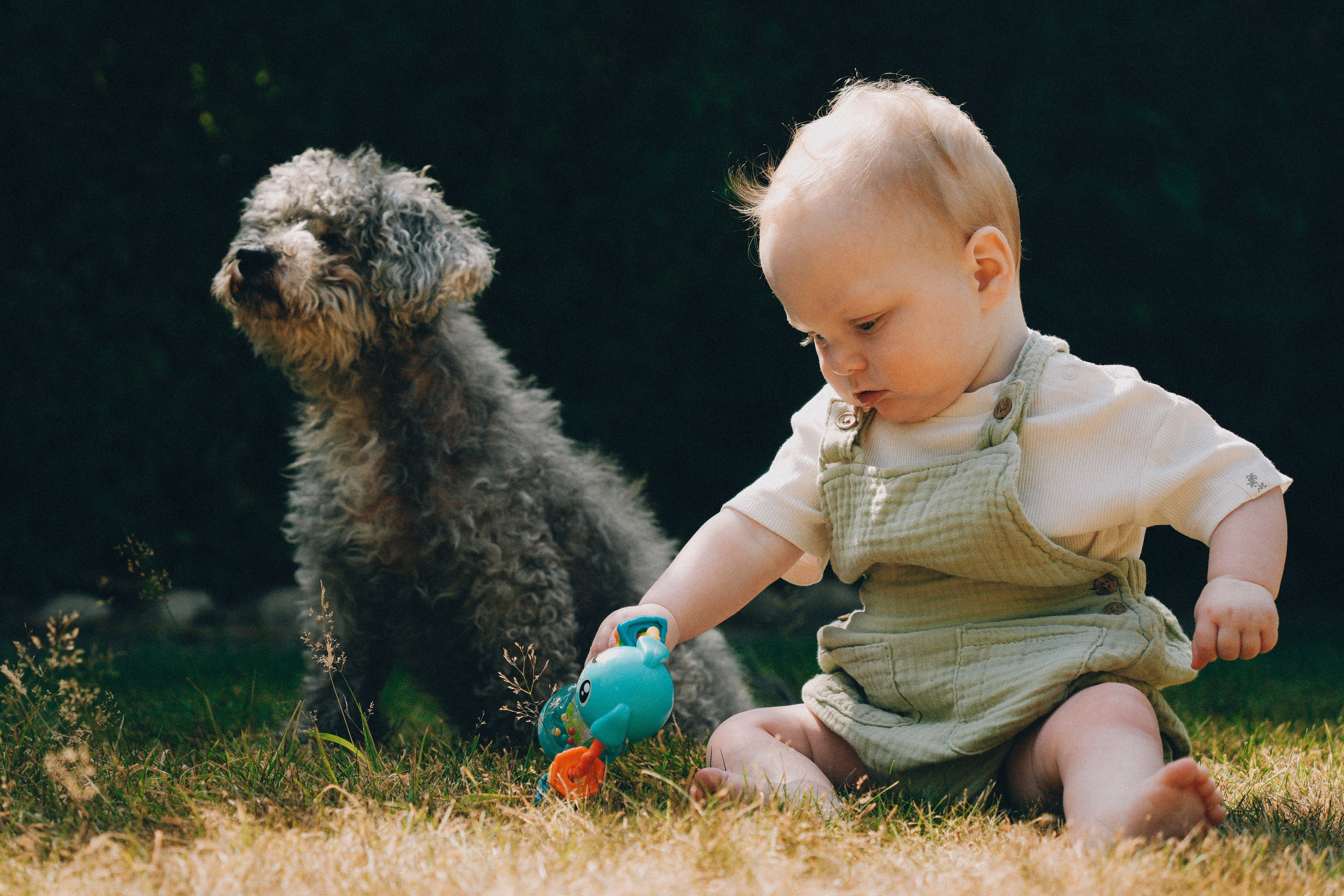 Family Photoshoot at Home | Family Photographer Birmingham
