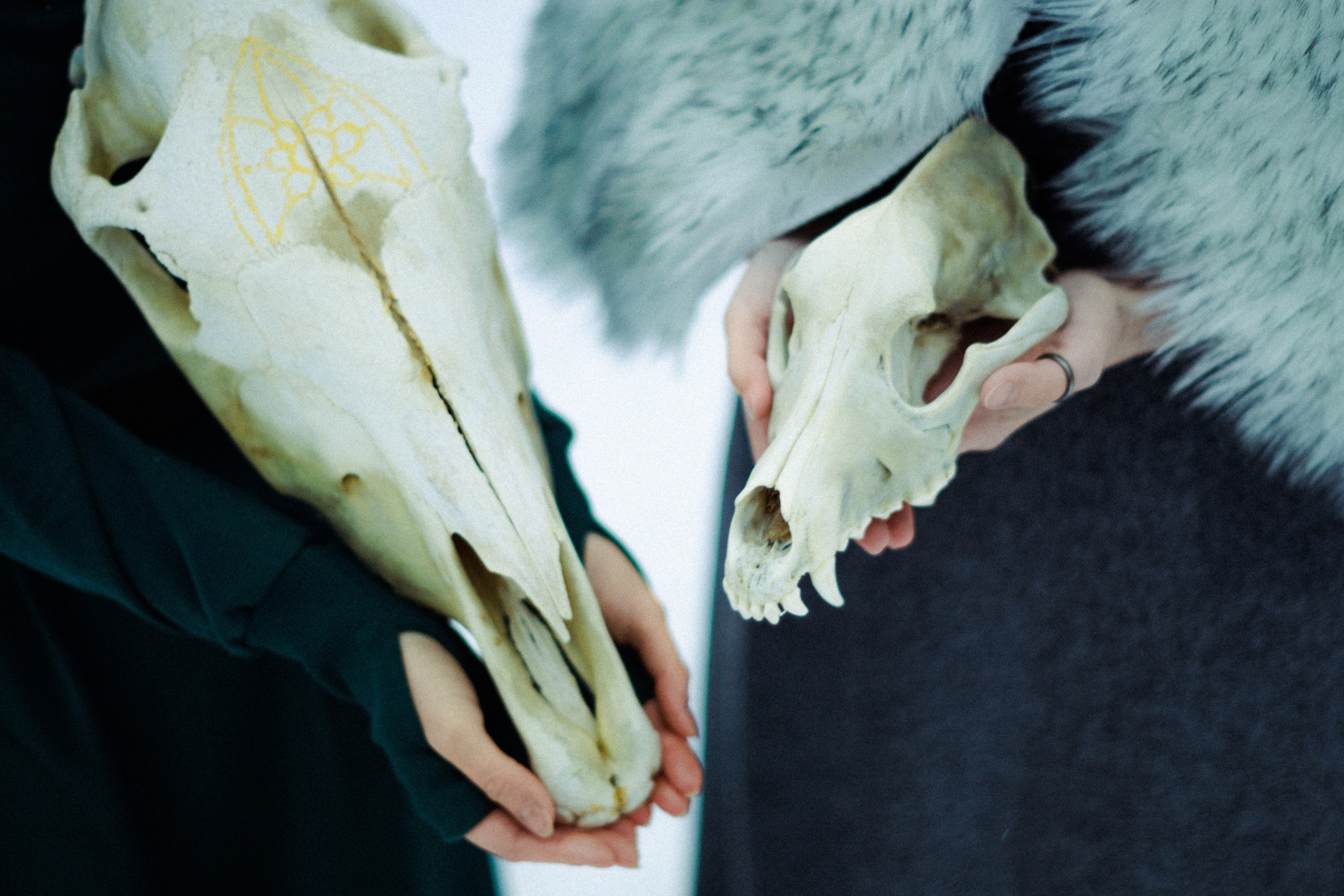 Shamans for Anna and Alexandra