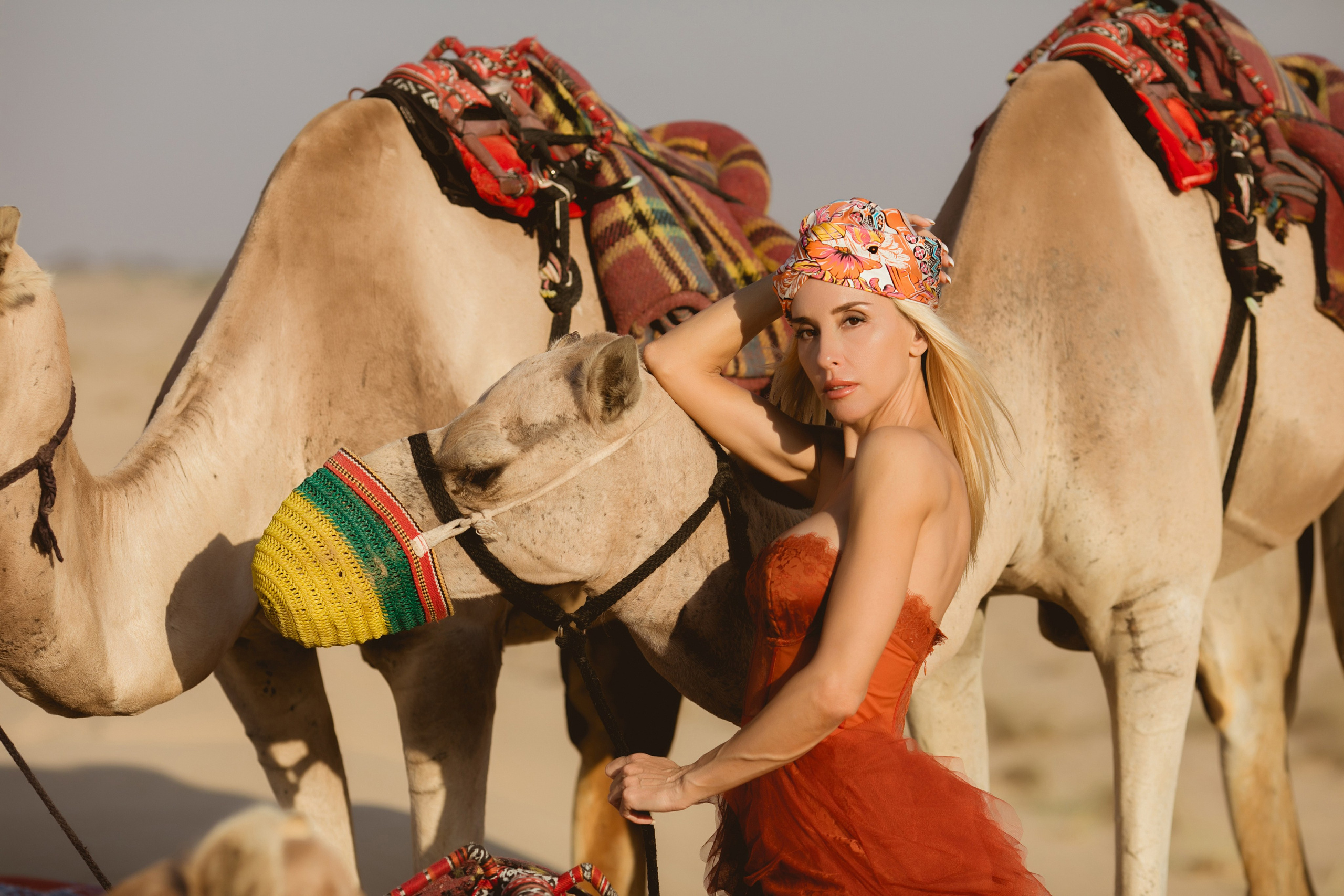 Nomad Spirit. Boryana