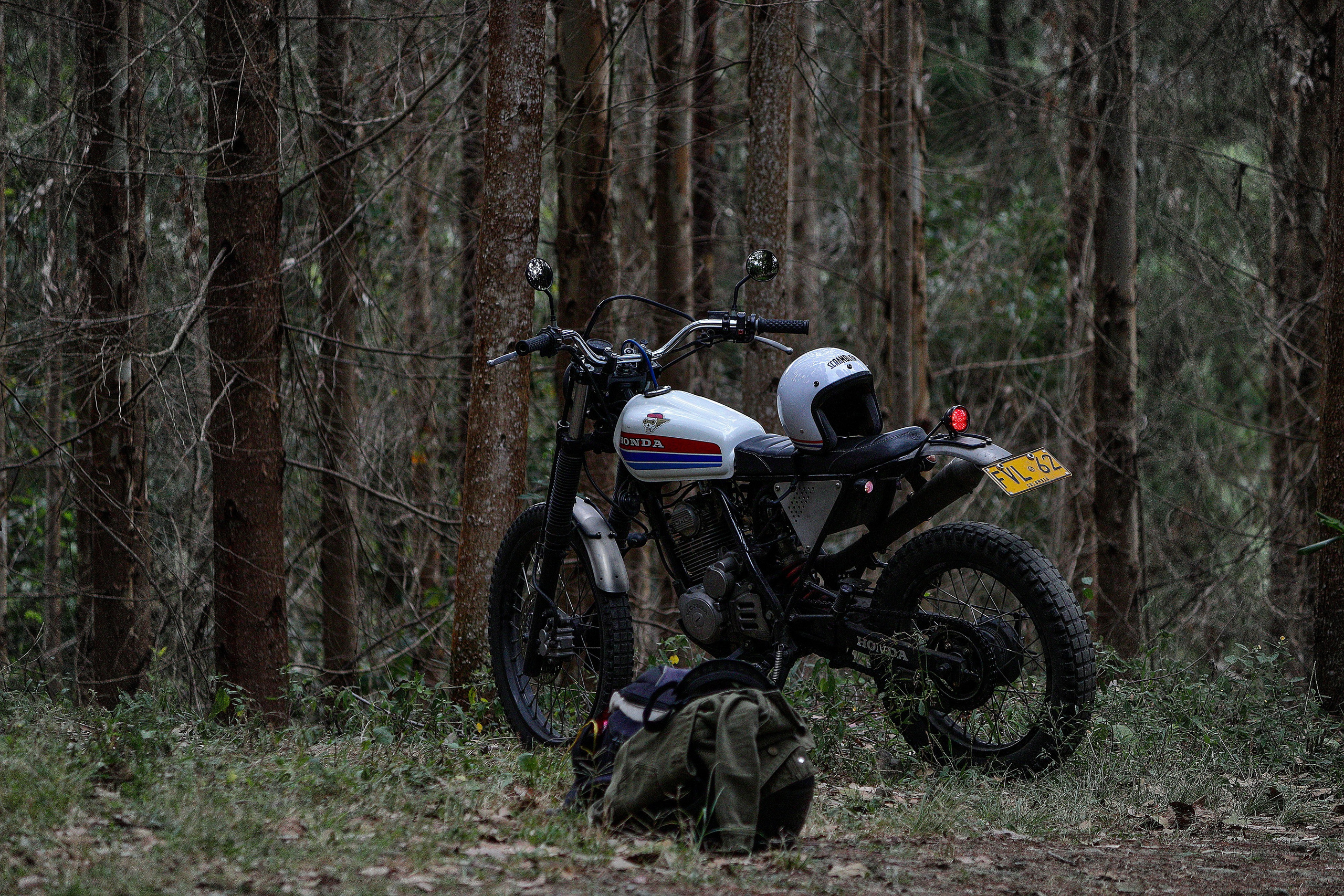 Estilo de vida y Retrato