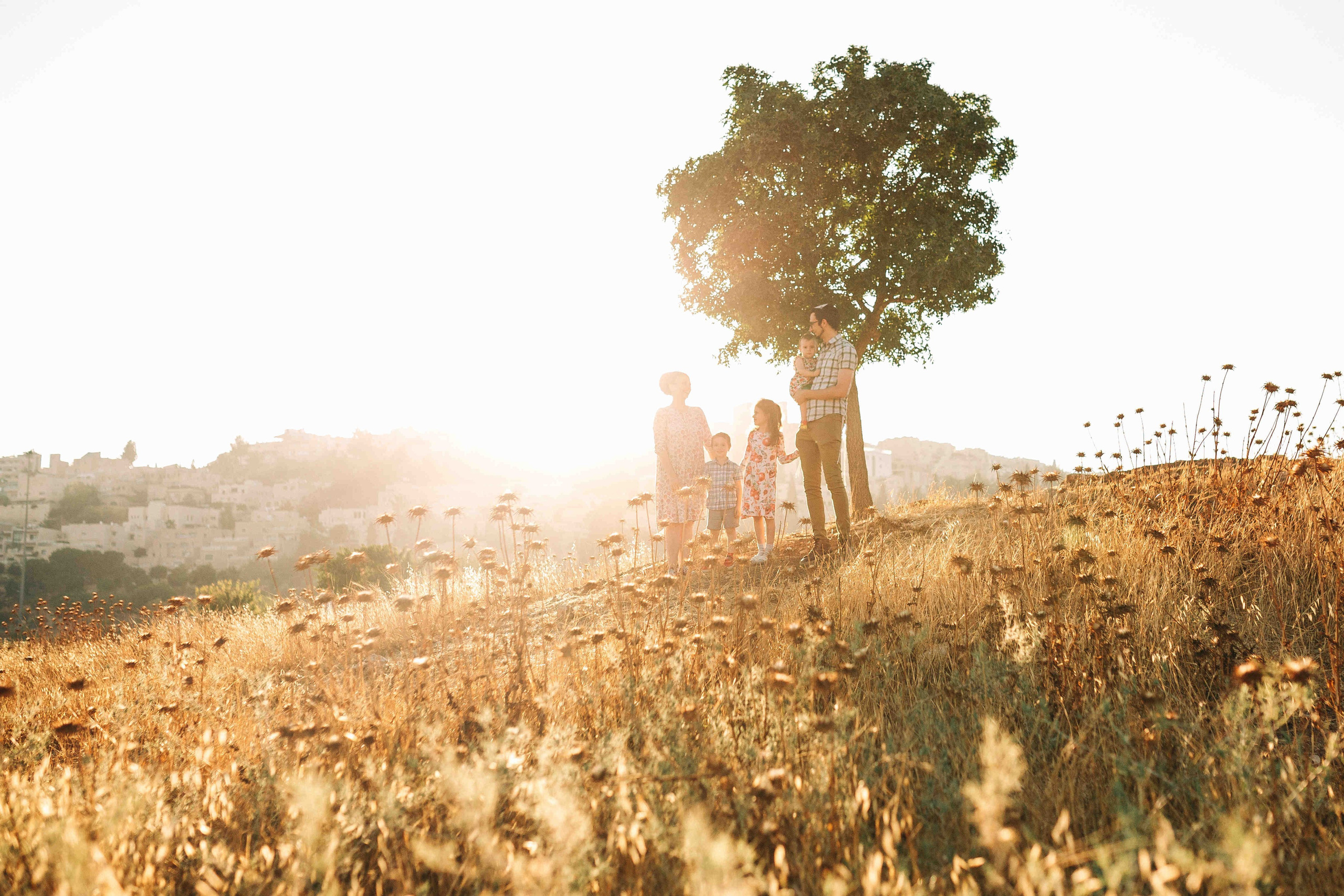 VALLEY OF&nbsp;GAZELLES, JERUSALEM