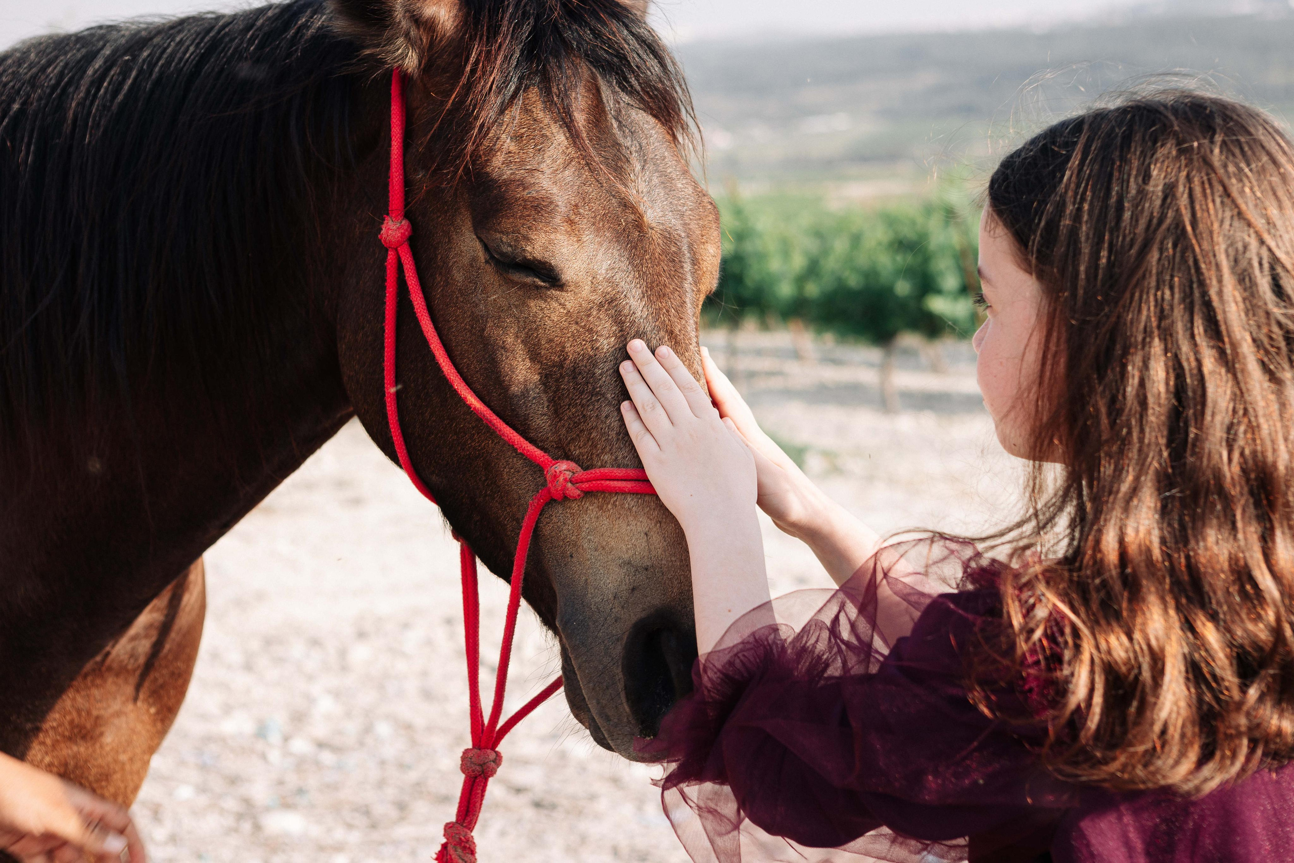 BAT MITZVAH IN&nbsp;THE VINEYARDS