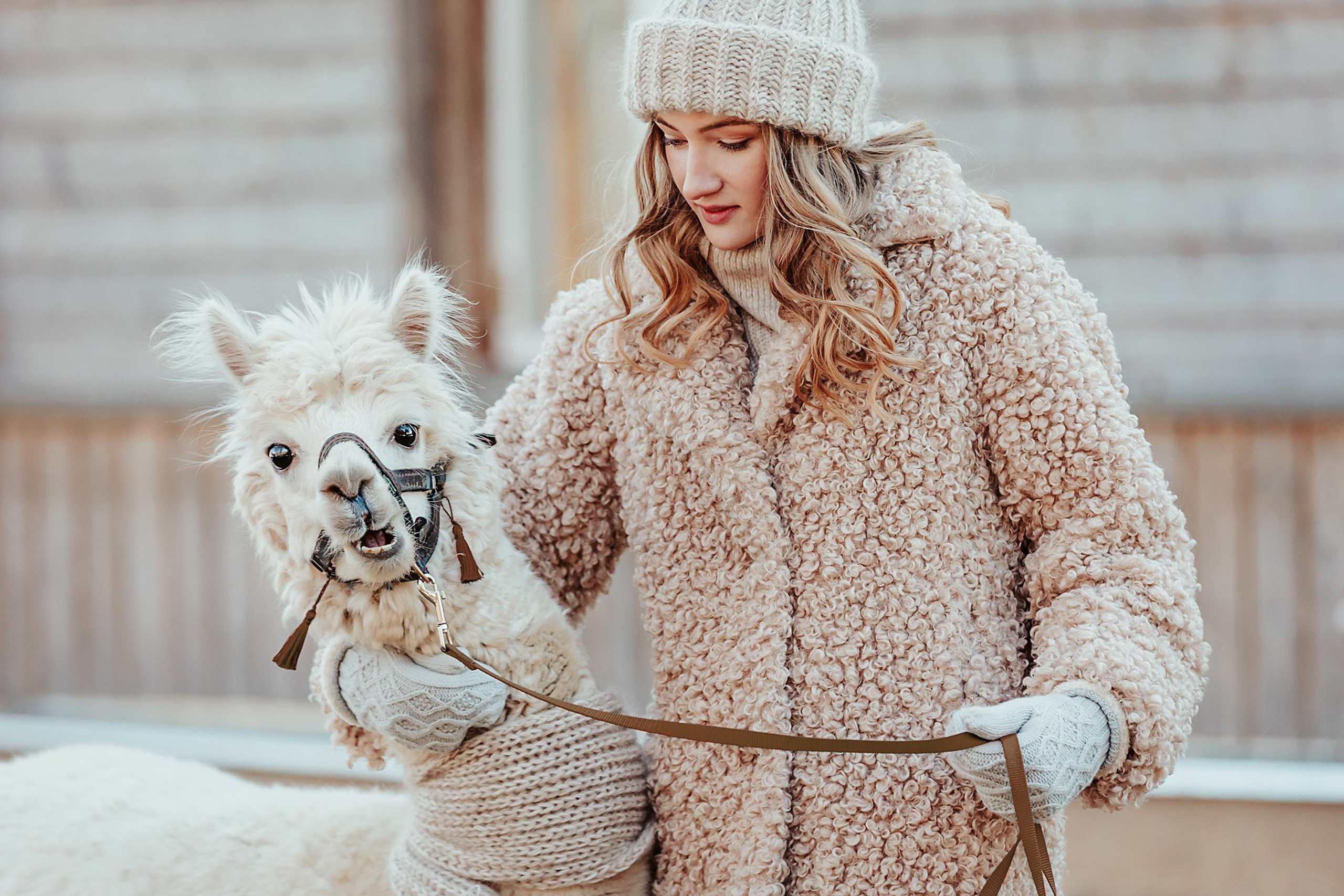 Dita & alpaka Sapnis