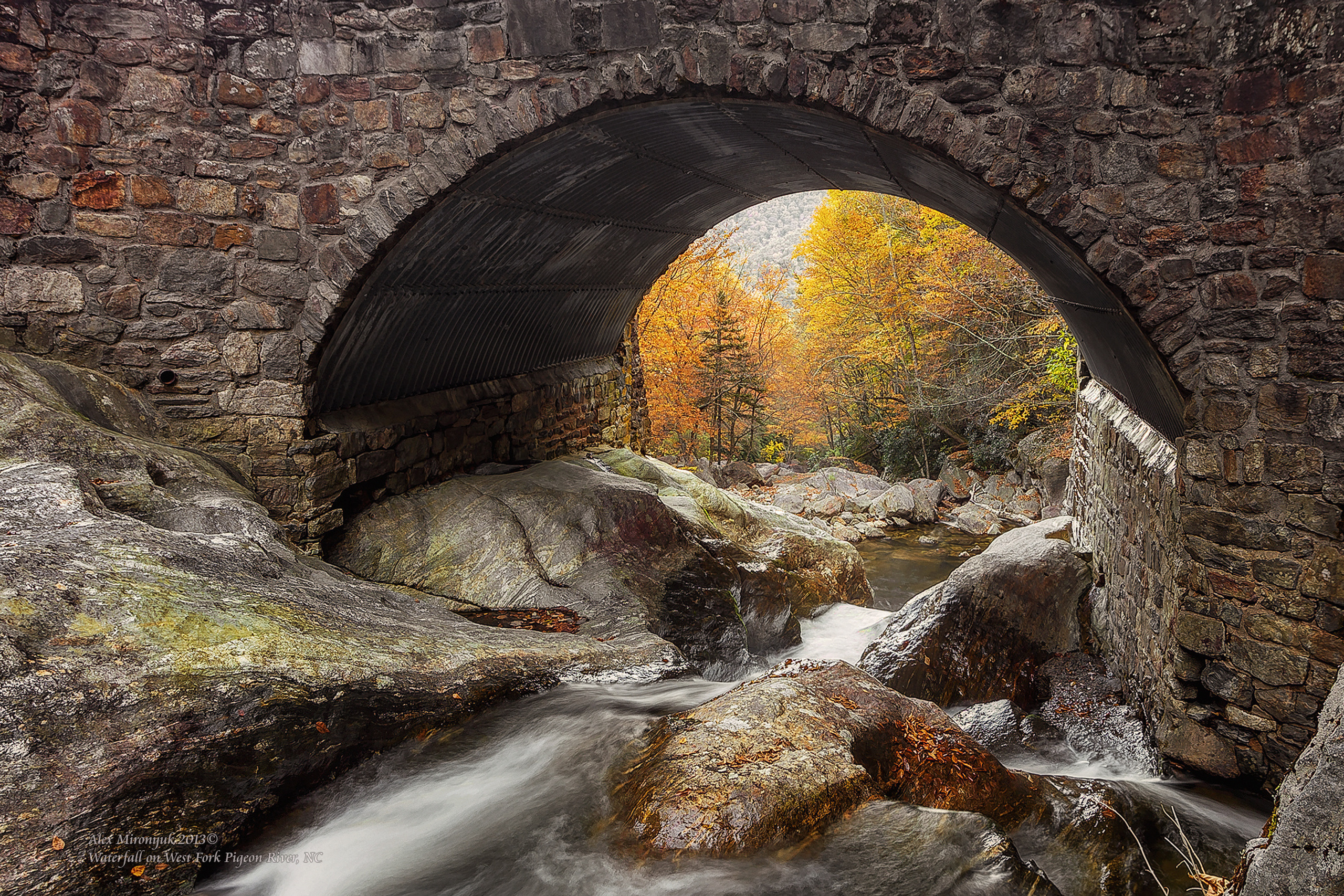 Great Smoky Mountains