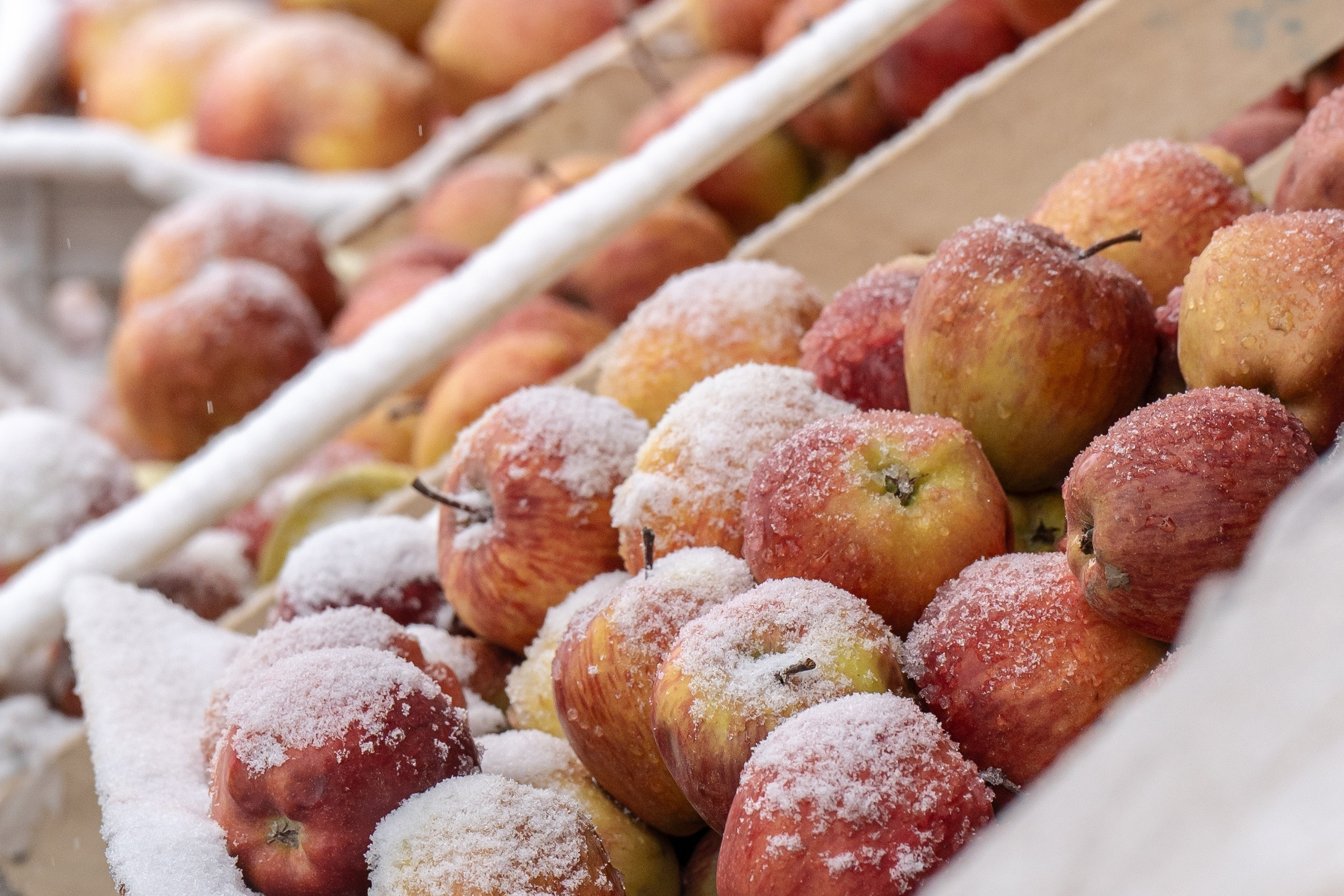 Галерея. Георгий Намазов | Фотограф в Ташкенте