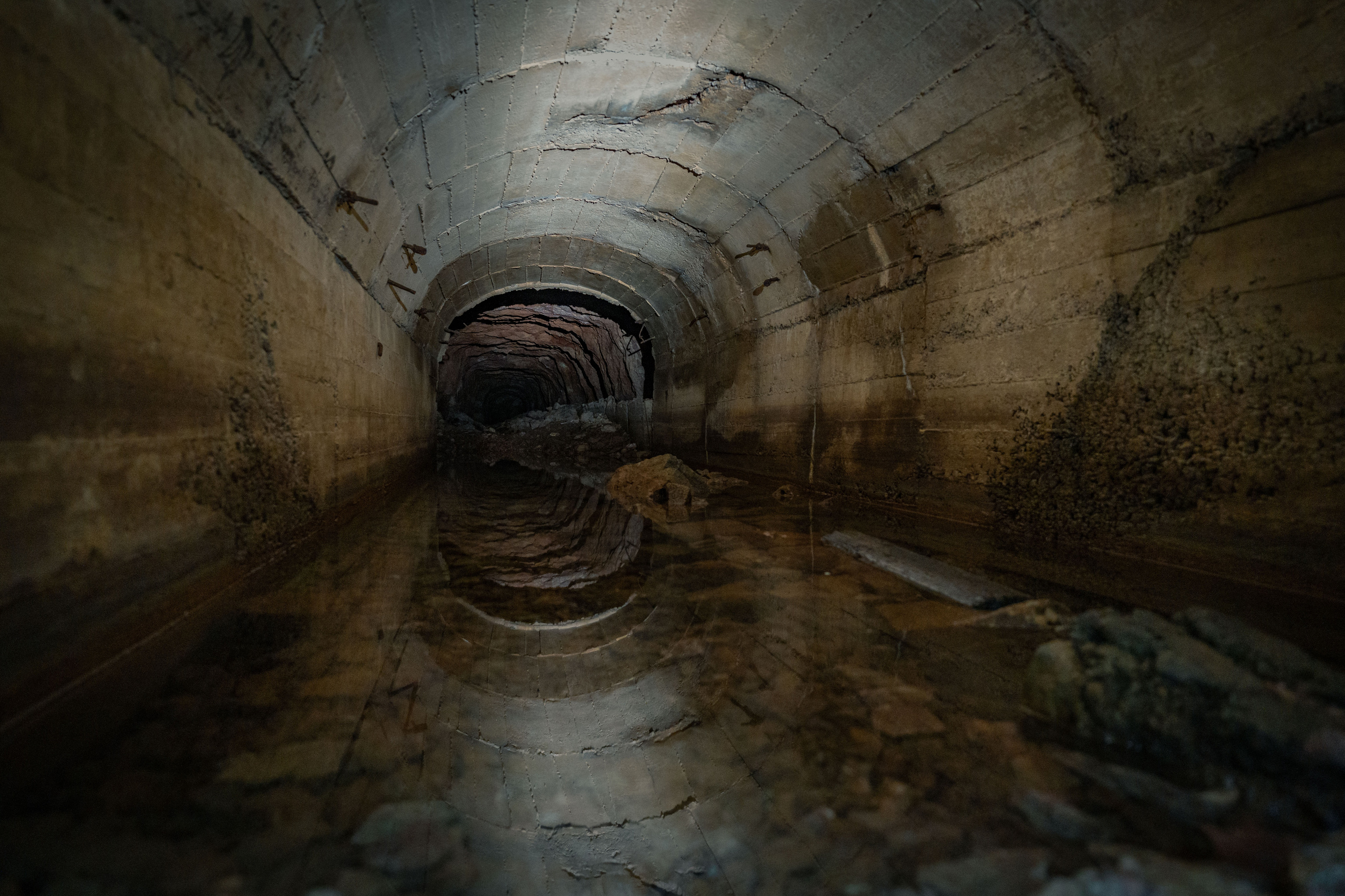 Галерея. Георгий Намазов | Фотограф в Ташкенте