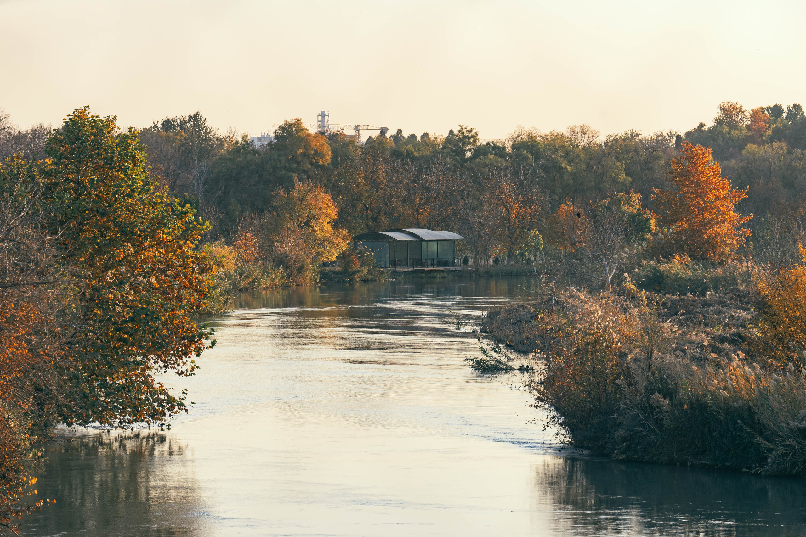 Raisa — Prismagraphy. Георгий Намазов | Фотограф в Ташкенте
