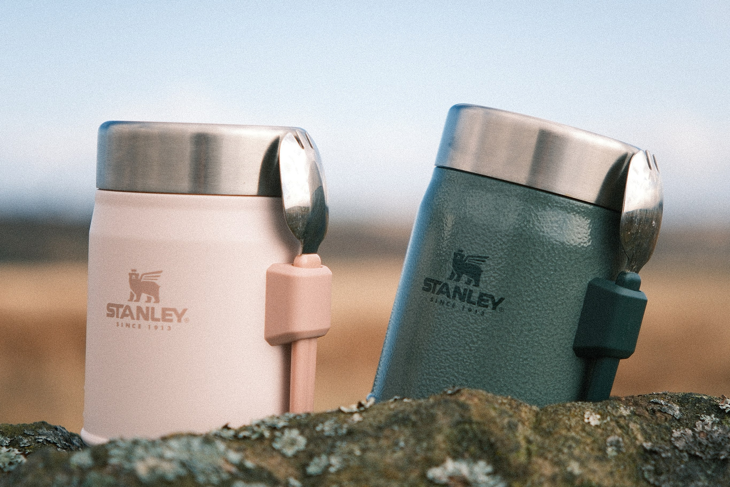 Blog. Callum Ecobichon